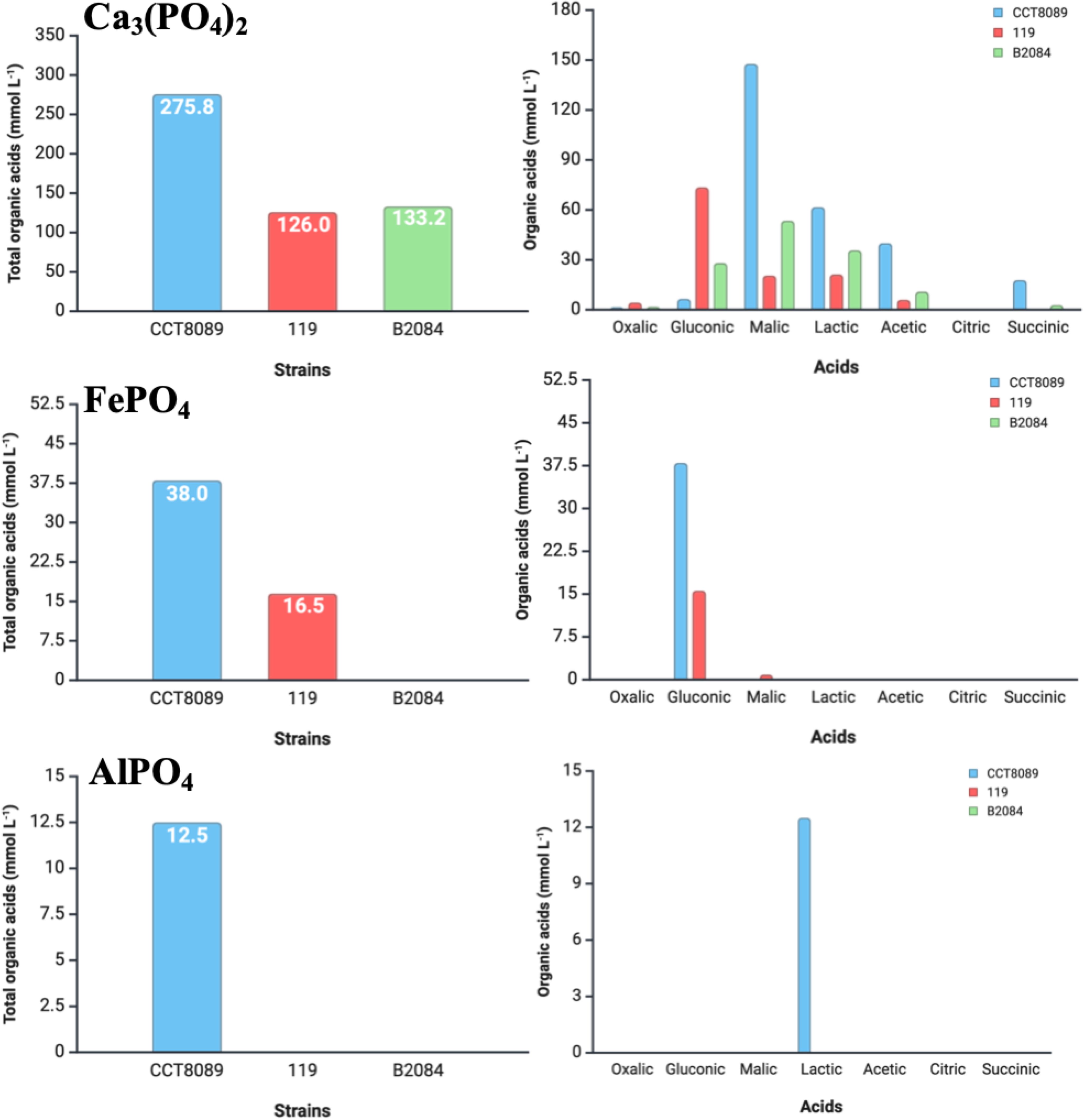 Bar charts showing total and individual organic acids produced by different strains on Ca₃(PO₄)₂, FePO₄, and AlPO₄. For Ca₃(PO₄)₂, strain CCT8089 produces 275.8 mmol L⁻¹, 119 produces 126.0, and B2084 produces 133.2. For FePO₄, CCT8089 yields 38.0, 119 yields 16.5. For AlPO₄, CCT8089 yields 12.5. Individual acids shown include oxalic, gluconic, malic, lactic, acetic, citric, and succinic acids.