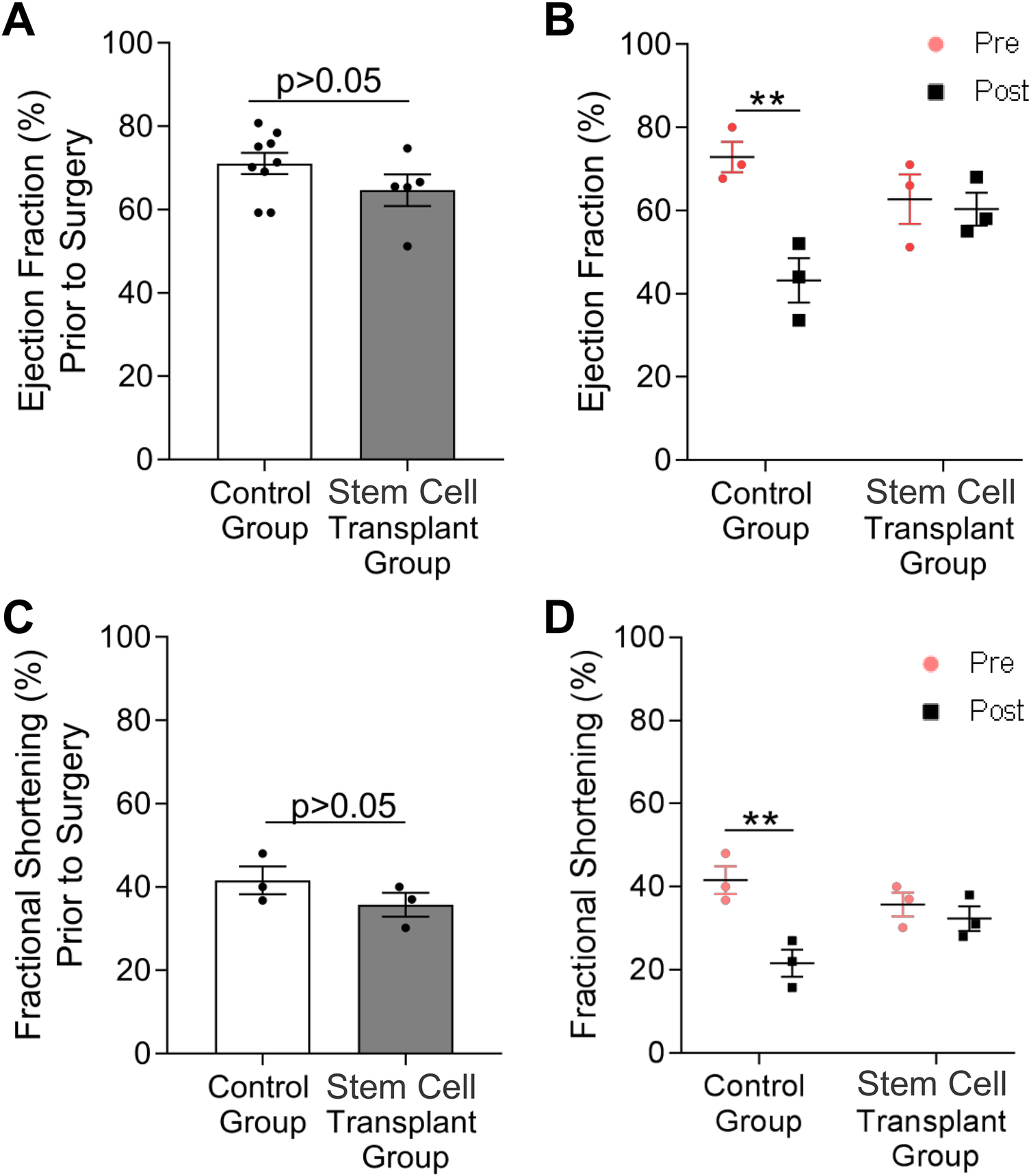 Four-panel chart comparing ejection fraction and fractional shortening percentages between control and stem cell transplant groups. Panel A shows similar pre-surgery ejection fractions. Panel B indicates significant differences in ejection fractions pre and post for the control group. The experimental group's ejection fraction was not significantly different when compared to their pre-infarct levels. Panel C shows similar pre-surgery fractional shortening. Panel D indicates significant differences in fractional shortening pre and post for the control group. The experimental group's fractional shortening was not significantly different when compared to their pre-infarct levels. Significance indicated by double asterisks.