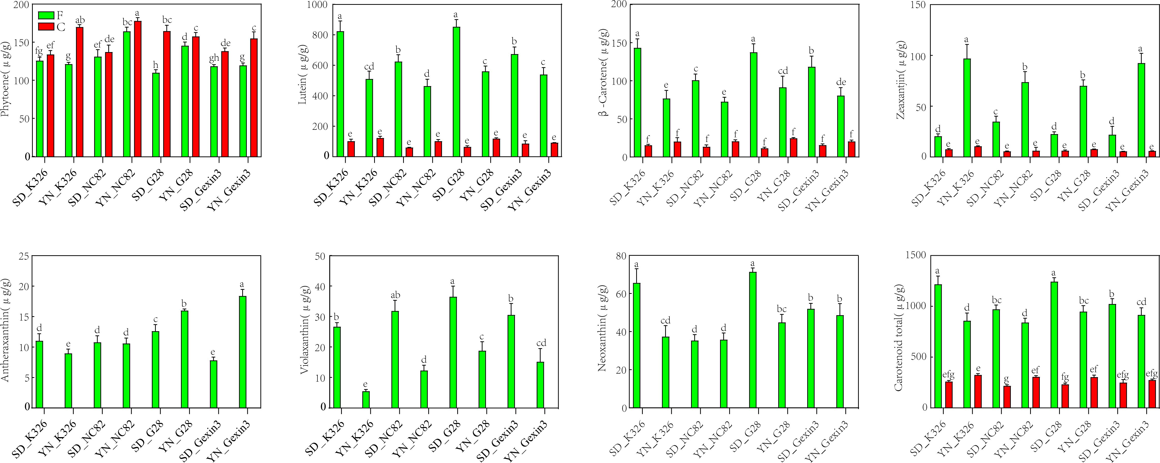 Eight bar graphs labeled A to H compare the concentrations of different compounds across various samples. Green and red bars represent different conditions or treatments for each sample. The y-axes show compound concentrations in micrograms per gram, while the x-axes list sample names, including SD_K326, YN_K326, etc. Graph A focuses on phytoene, B on lutein, C on beta-carotene, D on zeaxanthin, E on antheraxanthin, F on violaxanthin, G on neoxanthin, and H on total carotenoids. Different letters above bars indicate statistical differences.