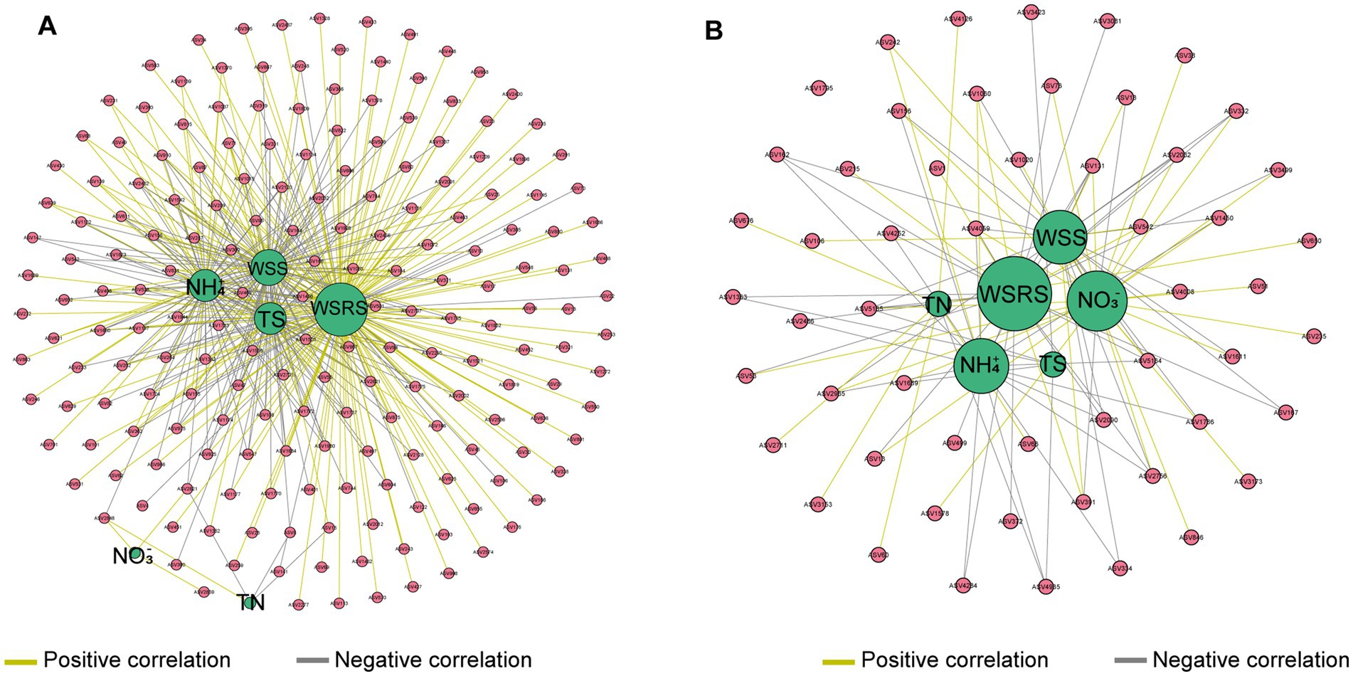 Two network diagrams labeled A and B depict correlations between variables. Large green nodes represent central variables connected to smaller pink nodes. Yellow lines indicate positive correlations and gray lines indicate negative correlations. Panel A shows a dense network with WSRS, WSS, NH4+, and TS as central nodes. Panel B shows a more sparse network with WSRS, WSS, NO3-, NH4+, and TN as central nodes. The color legend below the diagrams explains the correlation types.