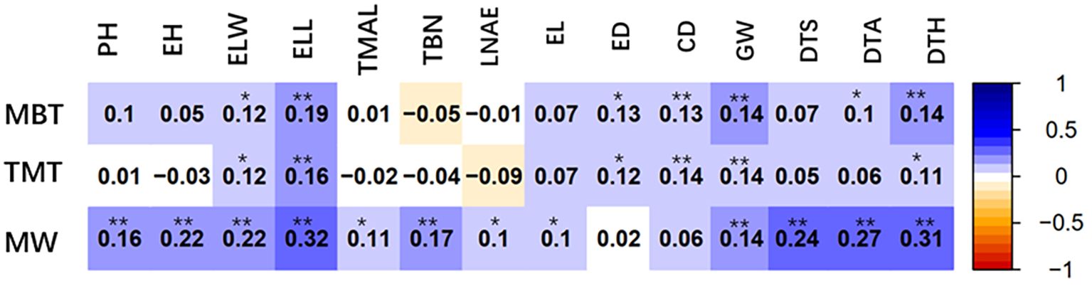 Heatmap displaying correlations between three variables (MBT, TMT, MW) and multiple factors (PH, EH, ELW, etc.). Values range from -0.09 to 0.32, color-coded from blue (positive) to orange (negative). Asterisks indicate significance levels, with darker shades representing stronger correlations.