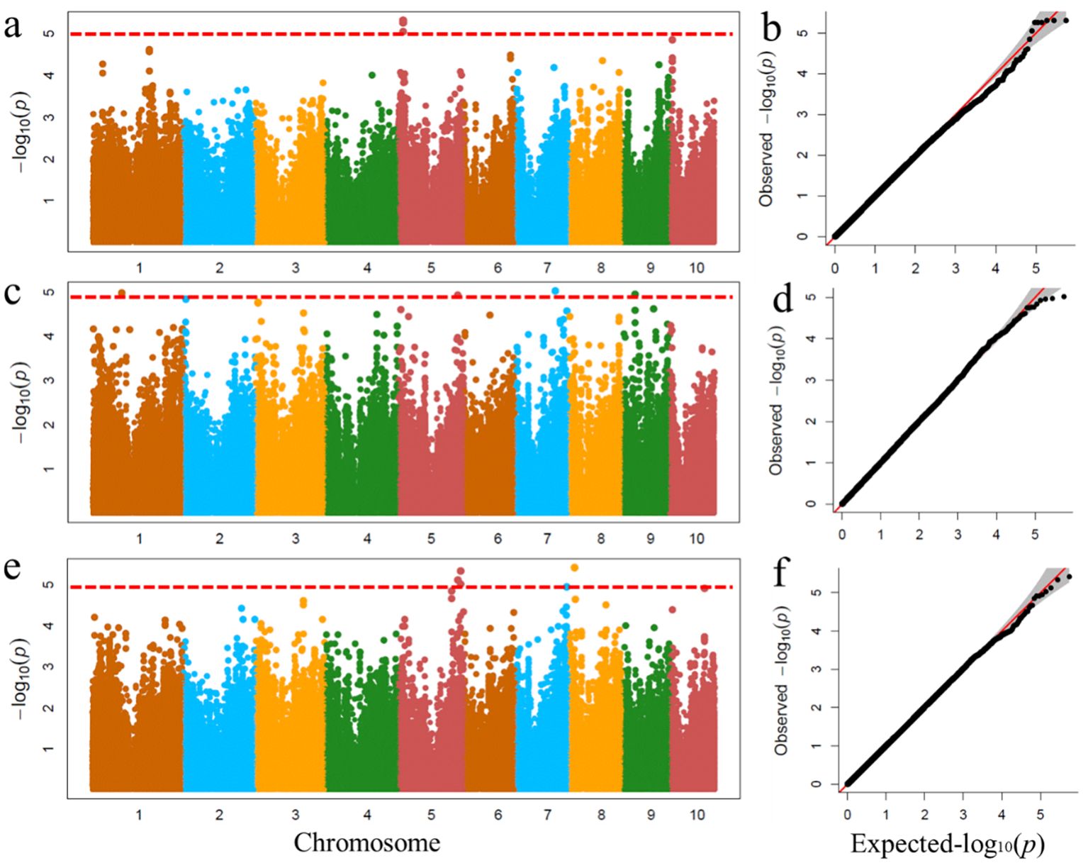 Manhattan and Q-Q plots showing genetic association data. Plots a, c, and e are Manhattan plots with points colored by chromosome. Significance threshold indicated by red dashed lines. Plots b, d, and f are Q-Q plots displaying observed versus expected -log₁₀(p) values, with data points and a reference line.