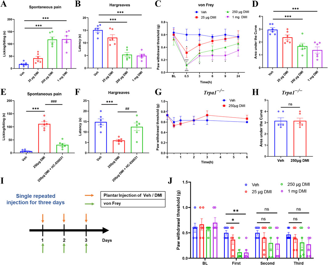 Graphs display data on pain response in mice under different treatments. Panels A, B, E, and F show bar graphs of spontaneous pain and Hargreaves test results. Panels C, G, and J depict line and bar graphs of paw withdrawal thresholds over time. Panel D and H show areas under the curve. Panel I illustrates the experimental timeline. Significant differences are indicated, with various doses of DMI tested.