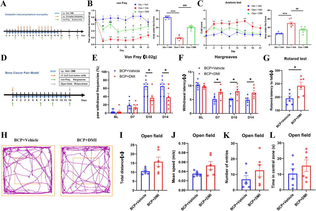 Graphs and diagrams illustrate the effects of different treatments on mice in pain models. Panels A and D display timelines for oxaliplatin-induced peripheral neuropathy and bone cancer pain models, respectively. Panels B and C show paw withdrawal thresholds and cold scores over time. Panel E presents von Frey test results, and Panel F shows Hargreaves test results. Panel G is a rotarod test comparison. Panel H depicts movement paths in an open field. Panels I to L show total distance, mean speed, number of entries, and time spent in central zones during open field tests. Statistical significance is indicated with asterisks.