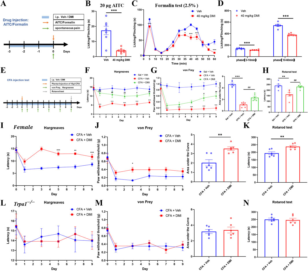 Graphs and charts display data from experiments involving the effects of drugs on mice. An array of tests, including spontaneous pain, formalin test, Hargreaves, von Frey, and Rotarod, are used. Panels A to N display timelines, bar graphs, and line graphs indicating different drug injections and responses over time. Notable trends are denoted with asterisks for statistical significance.