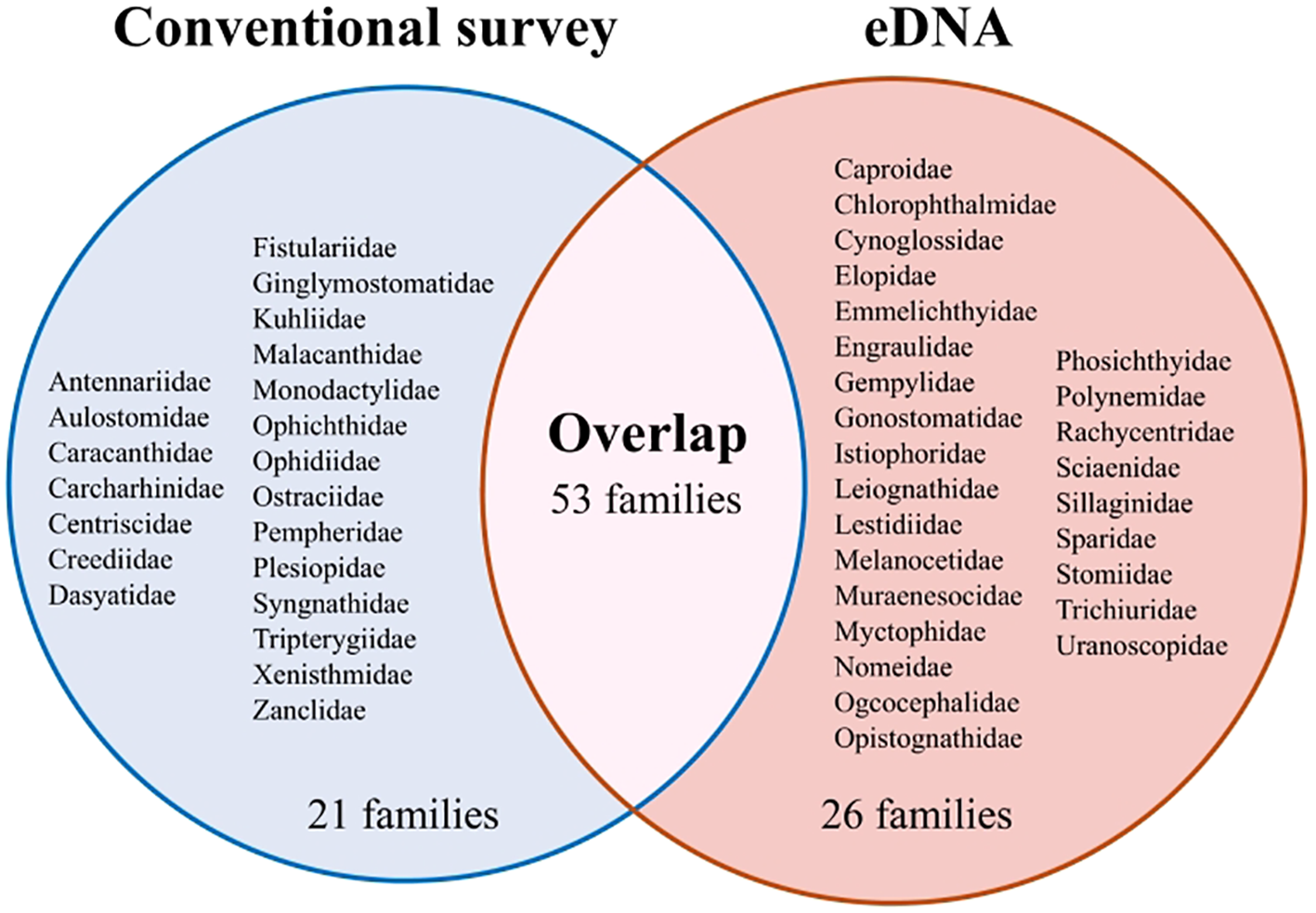 Venn diagram comparing fish families identified by conventional surveys and eDNA methods. The left circle includes 21 unique families from conventional surveys. The right circle lists 26 unique families identified by eDNA. The overlapping area shows 53 families common to both methods.