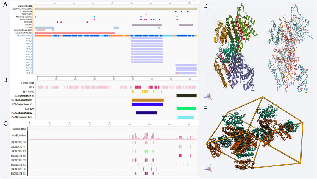 Protein analysis illustration with five sections (A-E). A: UniProt annotations showing various protein features, such as domains and sequence splicing. B: Structural elements like helices and strands, colored differently and aligned with corresponding regions.C: Binding sites along the protein sequence, with specific sites highlighted. D: 3D protein structure models colored by domains, with left showing detailed helices and right as a wireframe representation. E: Visualization of protein assembly within a geometric framework, displaying multiple protein units.