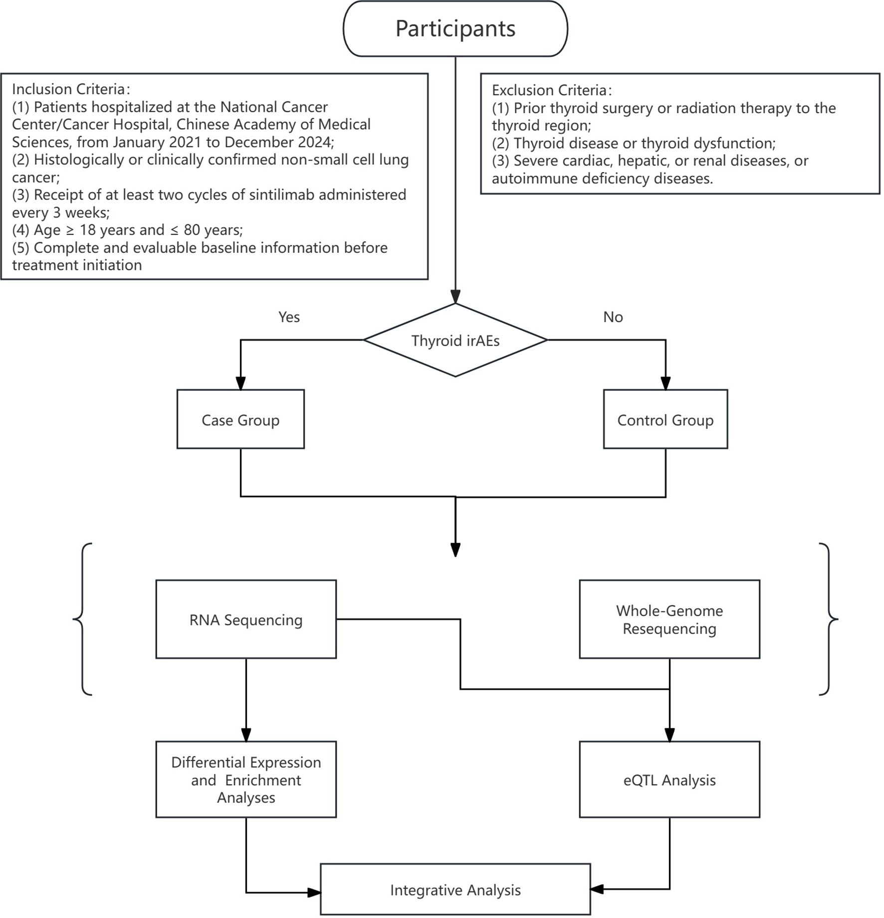 Flowchart detailing participant criteria and analysis process. Inclusion criteria involve patients with confirmed non-small cell lung cancer, aged 18-80, at the National Cancer Center, receiving sintilimab. Exclusion criteria include prior thyroid surgery, thyroid disease, or severe systemic diseases. Participants are divided into case and control groups based on Thyroid irAEs occurrence. Case group undergoes RNA sequencing followed by differential expression and enrichment analyses. Control group undergoes whole-genome resequencing followed by eQTL analysis. Both analyses lead to an integrative analysis.