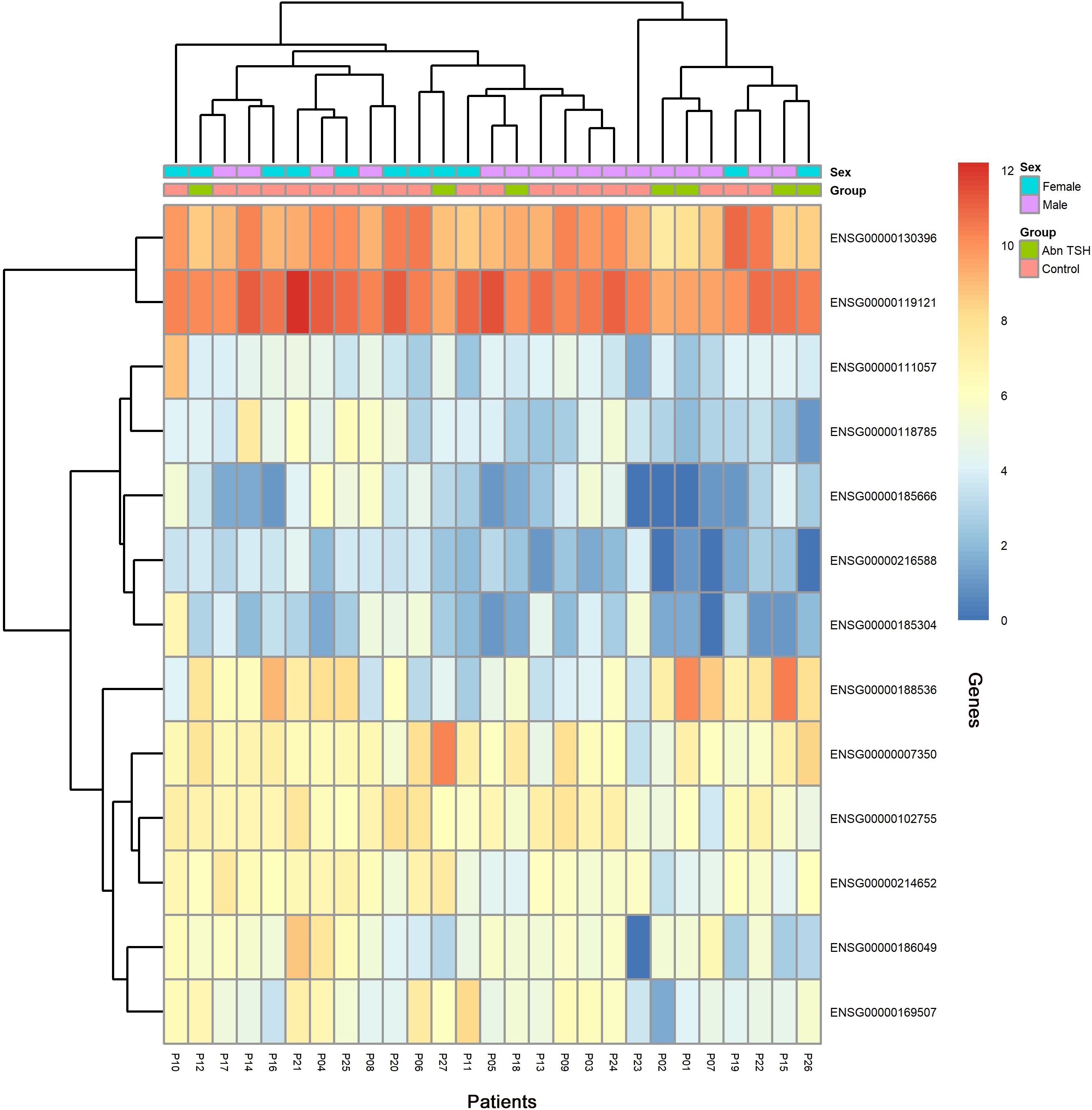 Clustered heatmap displaying gene expression data with samples categorized by sex (female, male) and group (abnormal TSH, control). The intensity ranges from blue (low expression) to red (high expression), with genes listed on the right and cluster dendrograms atop and on the left.