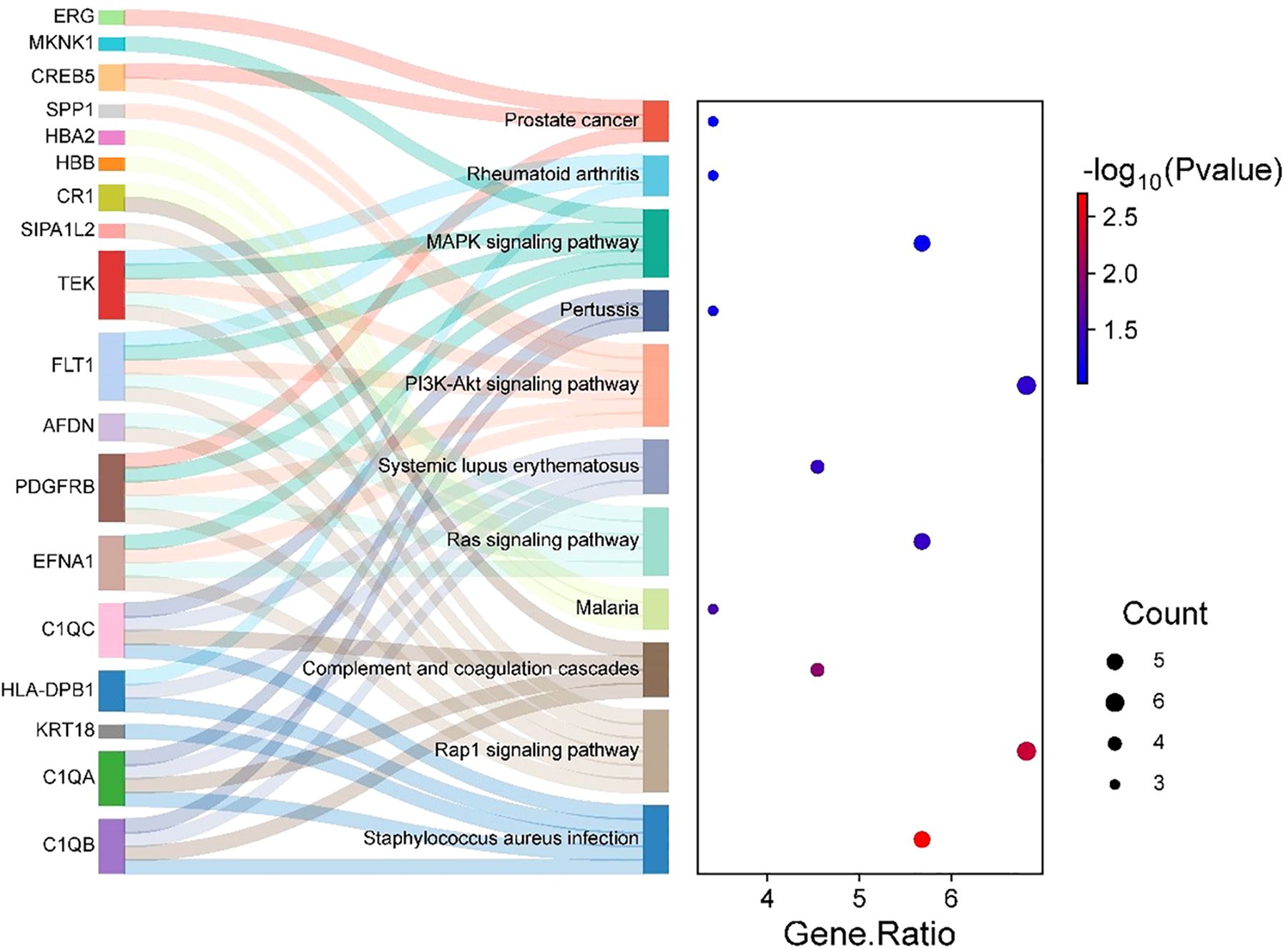 Sankey diagram and scatter plot showing relationships between genes and pathways. The left panel lists genes connected to various pathways, like prostate cancer and rheumatoid arthritis. The right panel scatter plot displays gene ratios against P-values, with point sizes representing count and colors indicating significance levels.
