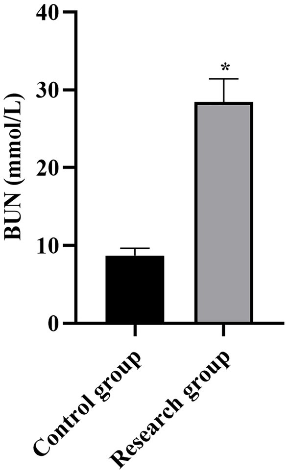 Bar graph comparing blood urea nitrogen (BUN) levels in two groups. The control group has a level around 10 mmol/L, while the research group shows a significantly higher level at approximately 35 mmol/L, marked with an asterisk indicating statistical significance.
