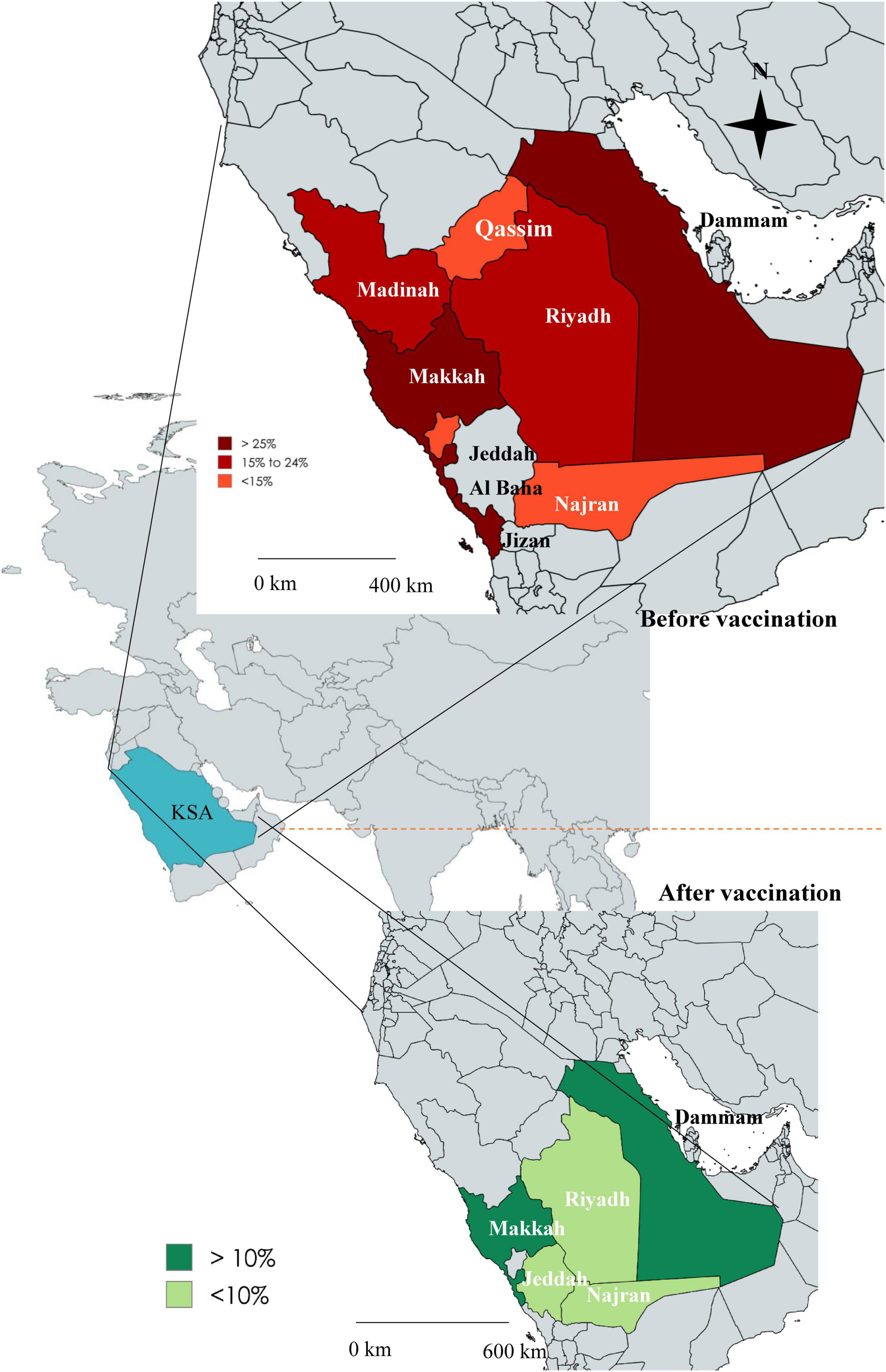 Map comparison of Saudi Arabia showing changes in disease prevalence before and after vaccination. The top part titled “Before vaccination” uses red shades to indicate more than 25% down to less than 15% prevalence in areas like Riyadh and Jeddah. The bottom part titled “After vaccination” uses green shades to depict reduced prevalence, with areas like Riyadh and Makkah showing less than 10%. A scale and a key for percentage ranges are included.