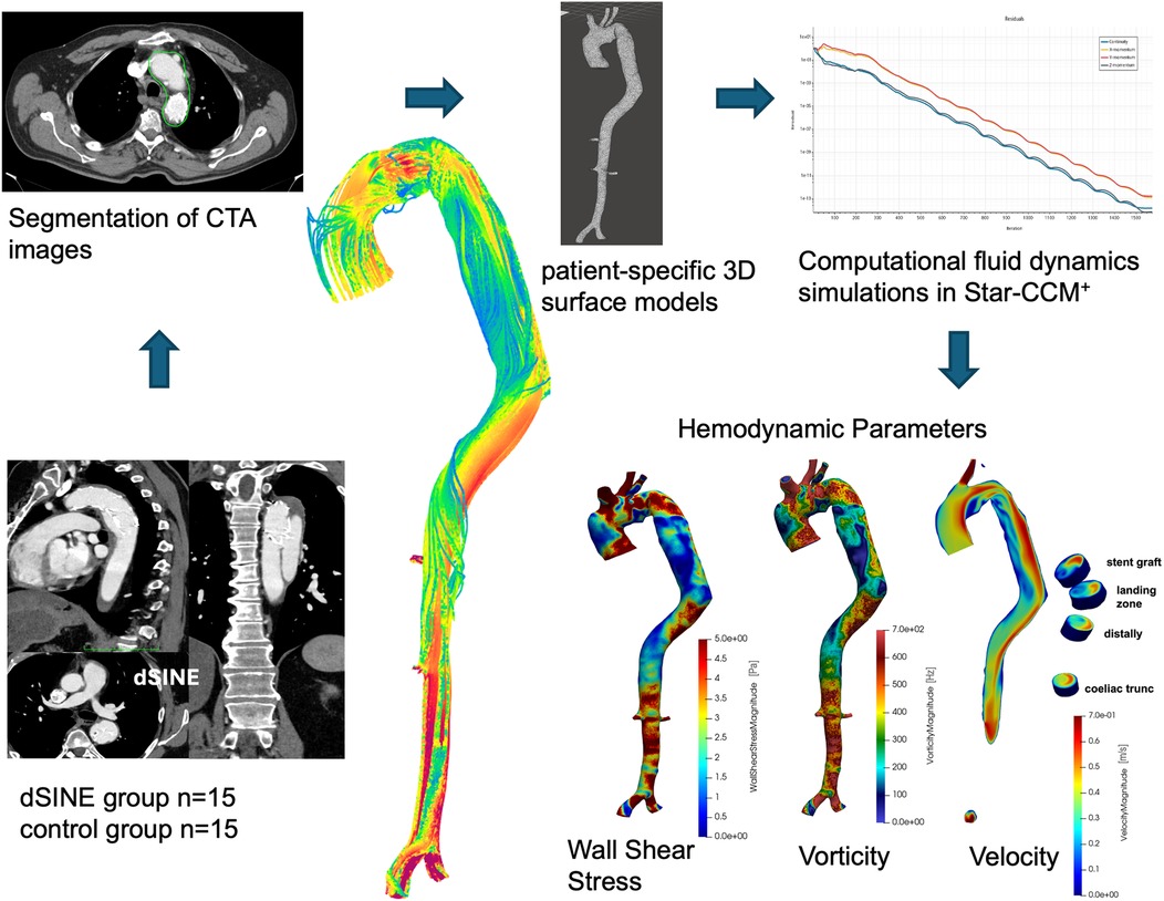 CT scan images are processed to create patient-specific 3D models. These models are analyzed using computational fluid dynamics simulations to assess hemodynamic parameters like wall shear stress, vorticity, and velocity. The study includes two groups, each with fifteen participants, focusing on the impact of stent grafts at various anatomical locations.
