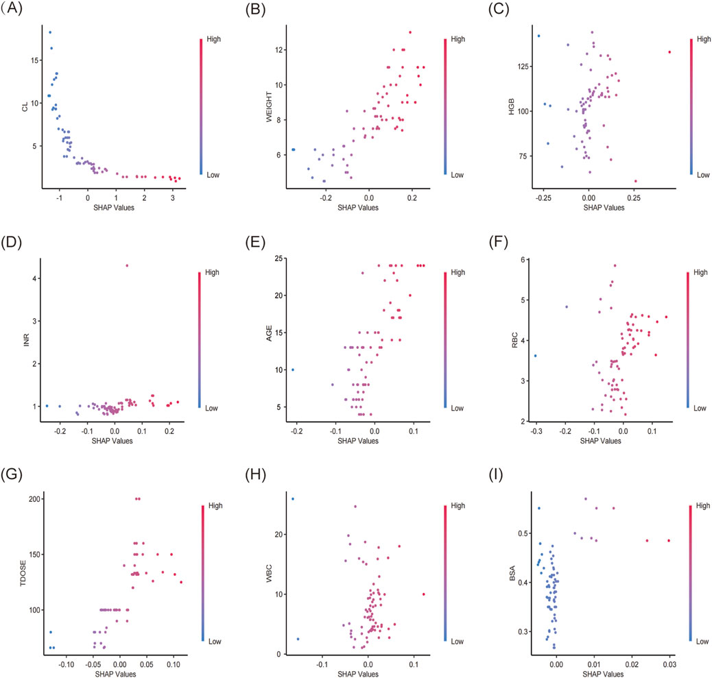 Nine scatter plots with SHAP values on the x-axis and individual features on the y-axis. Each plot has dots shaded from blue (low) to red (high), indicating feature impact levels. Plots are labeled (A) CL, (B) WEIGHT, (C) HGB, (D) INR, (E) AGE, (F) RBC, (G) TDOSE, (H) WBC, and (I) BSA.
