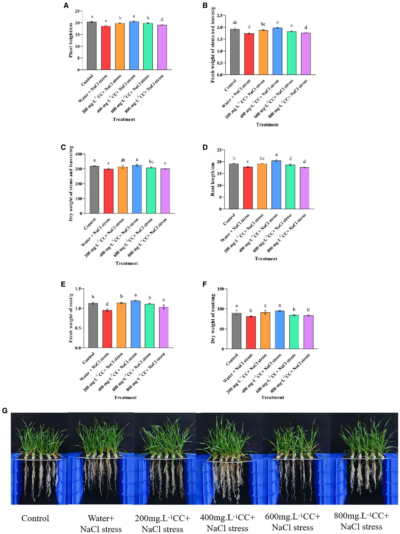 Graphs A to F show the impact of various treatments on plant height, fresh and dry weight of stems and leaves, root length, and fresh and dry weight of roots under NaCl stress. Graphs compare control, water with NaCl stress, and ascending concentrations of ICC with NaCl stress. Photos in section G display the visual differences in plant growth under each treatment, with visibly healthier plants at lower concentrations of ICC.