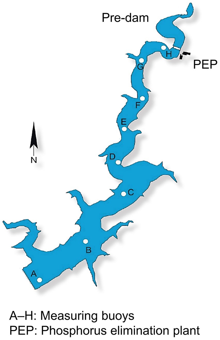Map showing a reservoir with measuring buoys labeled A to H. A phosphorus elimination plant (PEP) is marked near buoy H. The Pre-dam is shown at the top. A compass indicates north.