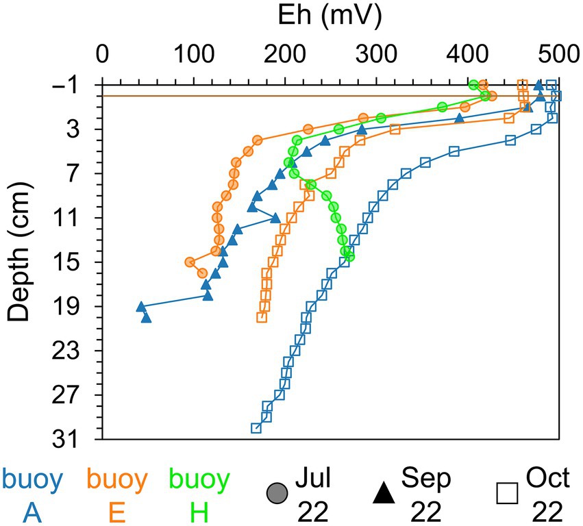 Line graph showing Eh (mV) values in sediment samples against depth (cm) for buoys A, E, and H over time. Buoy A is blue, buoy E is orange, and buoy H is green. Measurements are marked with circles for July 2022, triangles for September 2022, and squares for October 2022, displaying variations in depth from -1 cm to 31 cm along the y-axis and Eh values from 0 to 500 mV along the x-axis.