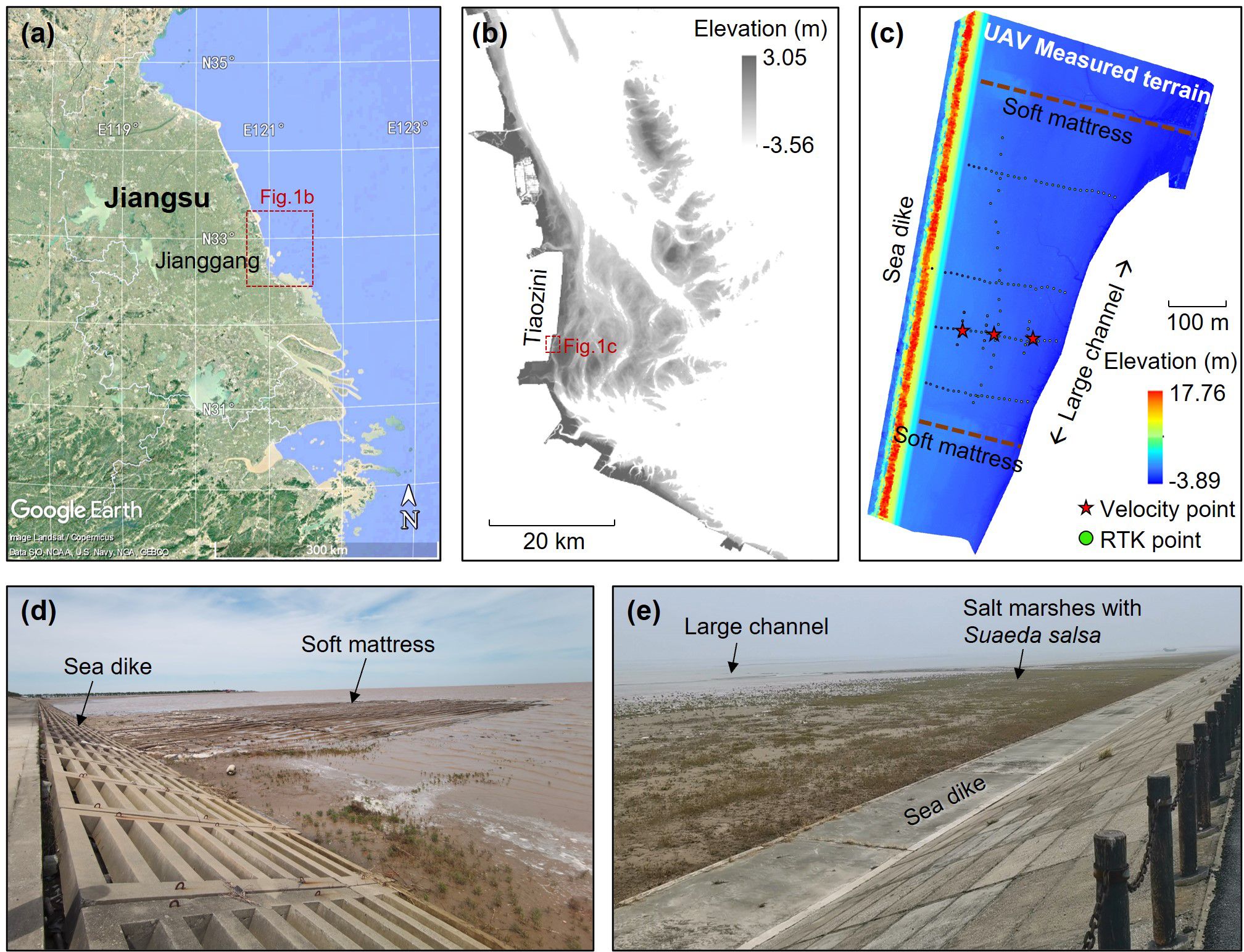 (a) Satellite map showing Jiangsu, highlighting Jianggang. (b) Elevation map of Tiaozini, ranging from -3.56 to 3.05 meters. (c) UAV measured terrain with sea dike, soft mattress, velocity points, RTK points, and a large channel, elevation from -3.89 to 17.76 meters. (d) Photograph showing a sea dike and soft mattress. (e) Image of a large channel, sea dike, and salt marshes with Suaeda salsa.