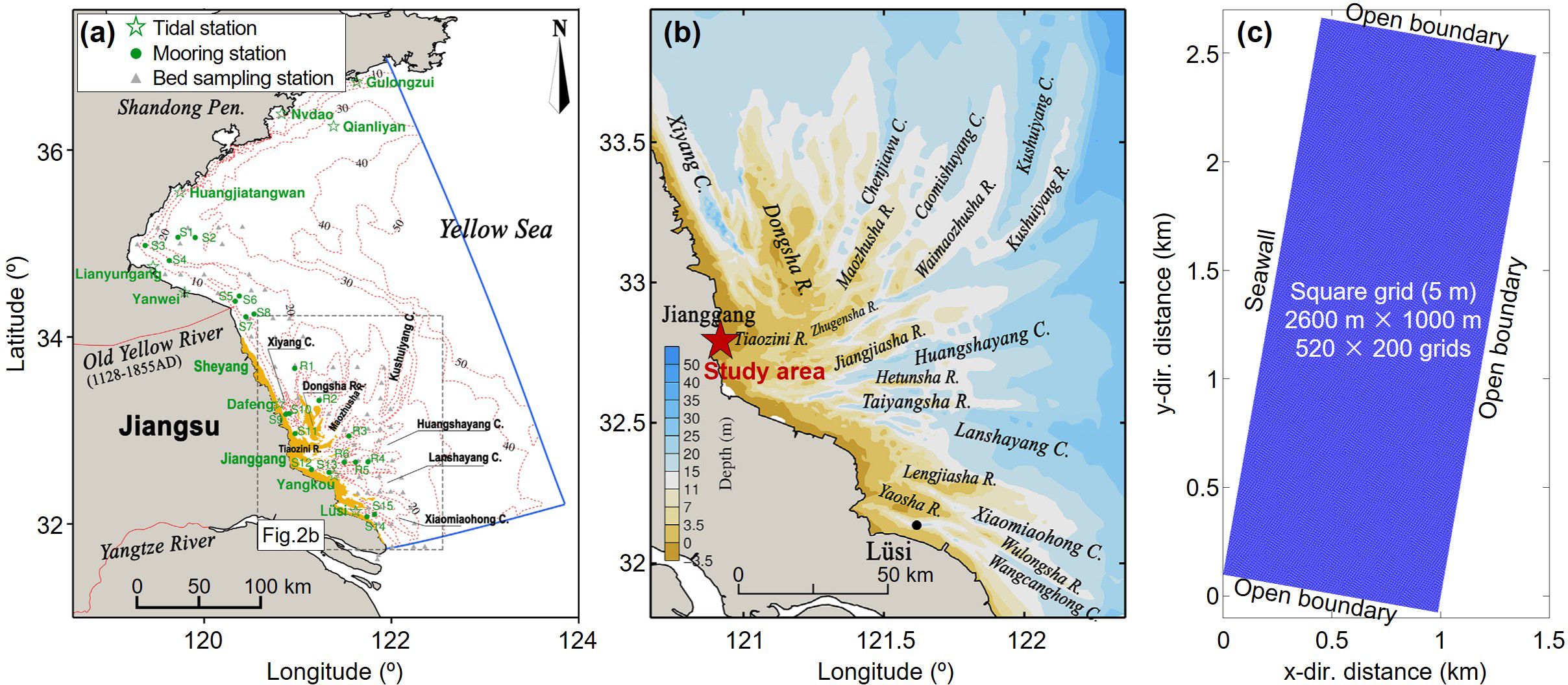 Map set illustrating the study area. Panel (a) shows the Jiangsu coastline with tidal, mooring, and bed sampling stations marked. Panel (b) highlights the Tiaozini area with depth contours. Panel (c) describes a grid layout with dimensions and open boundaries.