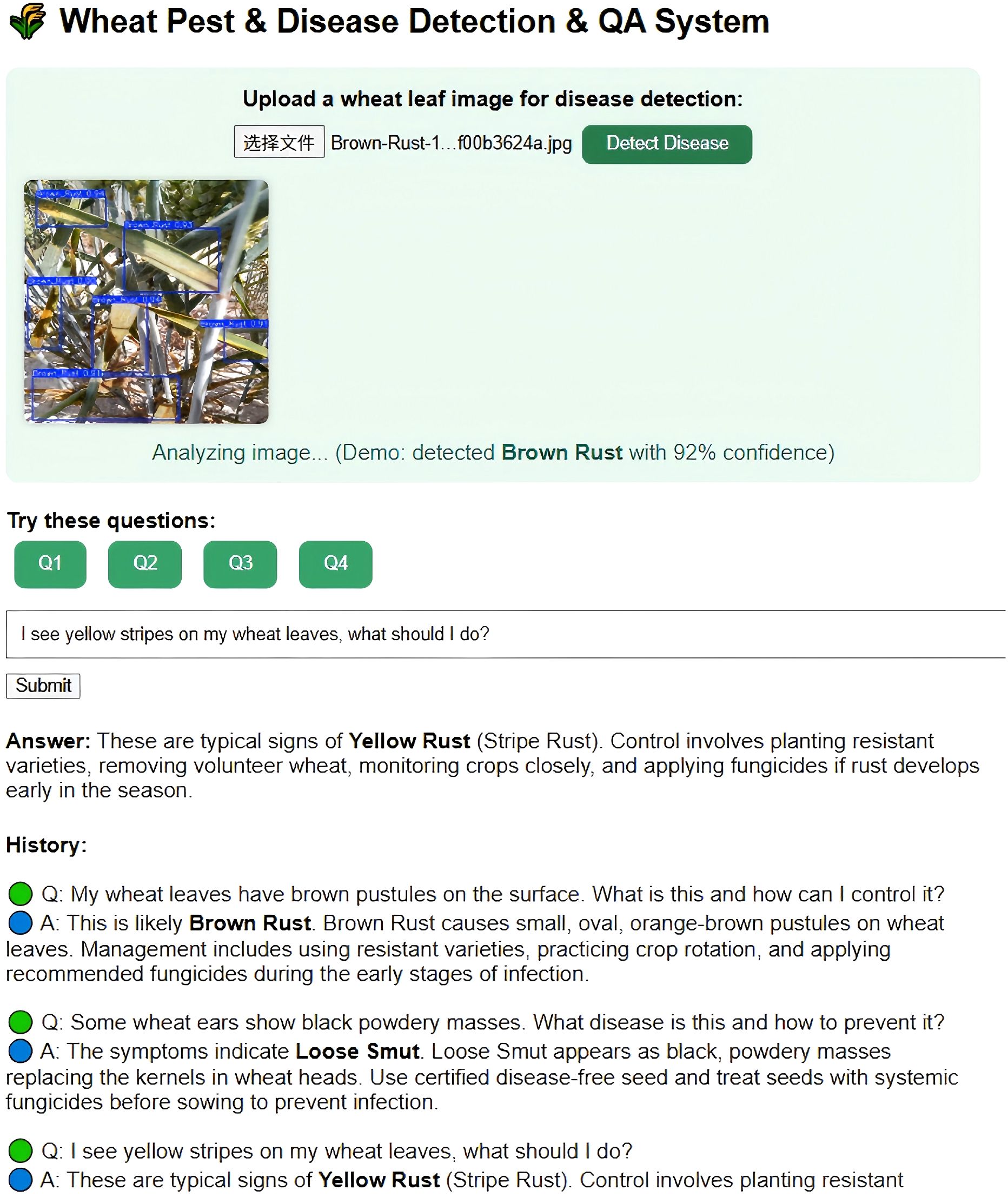 A user interface of a wheat pest and disease detection system displays an image upload section. A photo of wheat leaves is analyzed, detecting brown rust with ninety-two percent confidence. Below, users can ask questions. A submitted question about yellow stripes on wheat leaves receives an answer identifying them as yellow rust, with control advice provided. A history section lists FAQs about brown rust and loose smut, detailing symptoms and control methods.
