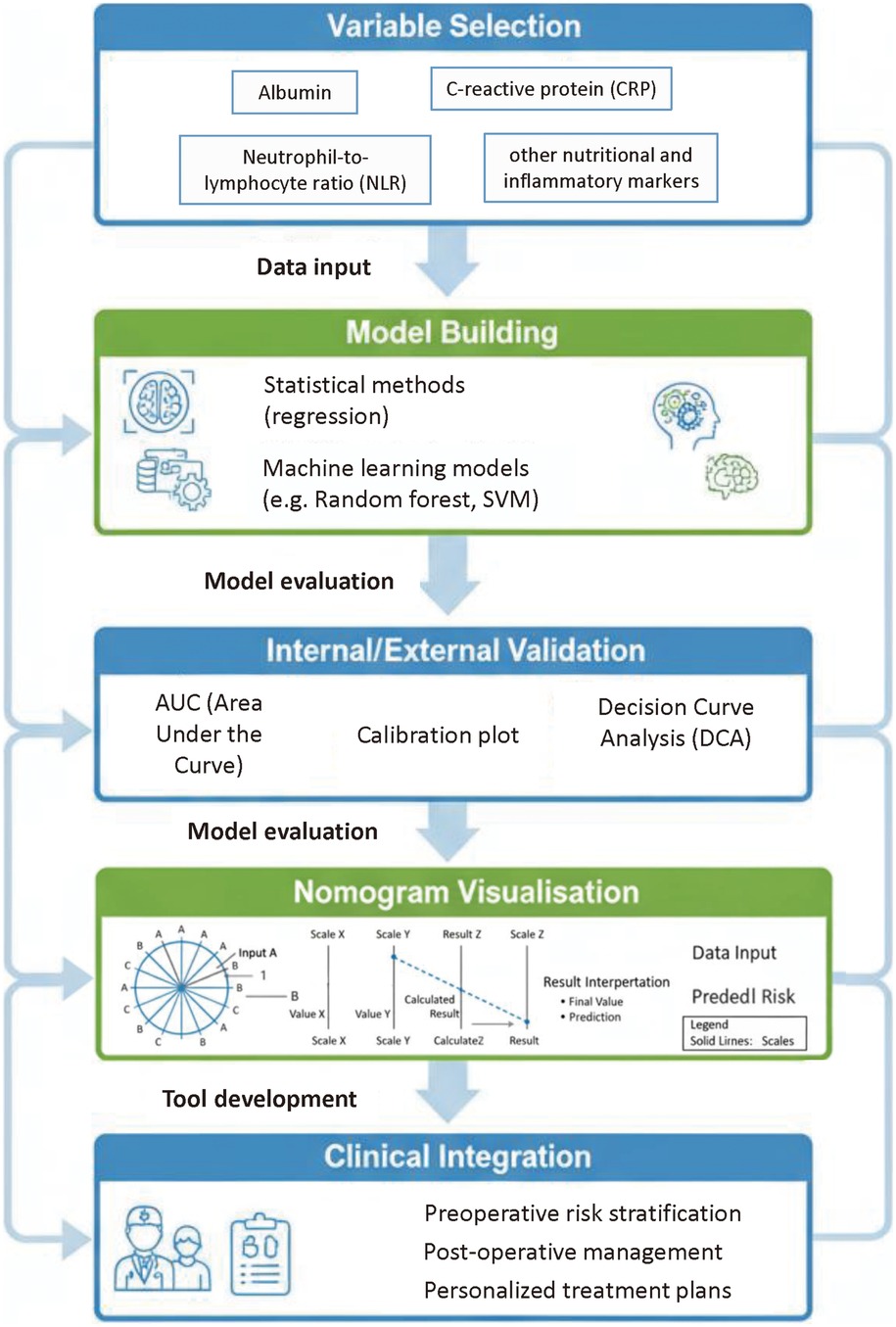 Flowchart detailing a model-building process. It starts with Variable Selection, including albumin, C-reactive protein, neutrophil-to-lymphocyte ratio, and other markers. Next, Model Building uses statistical methods and machine learning. Internal/External Validation involves AUC, calibration plots, and decision curve analysis. Nomogram Visualisation is for tool development. Clinical Integration includes preoperative risk stratification, postoperative management, and personalized treatment plans.
