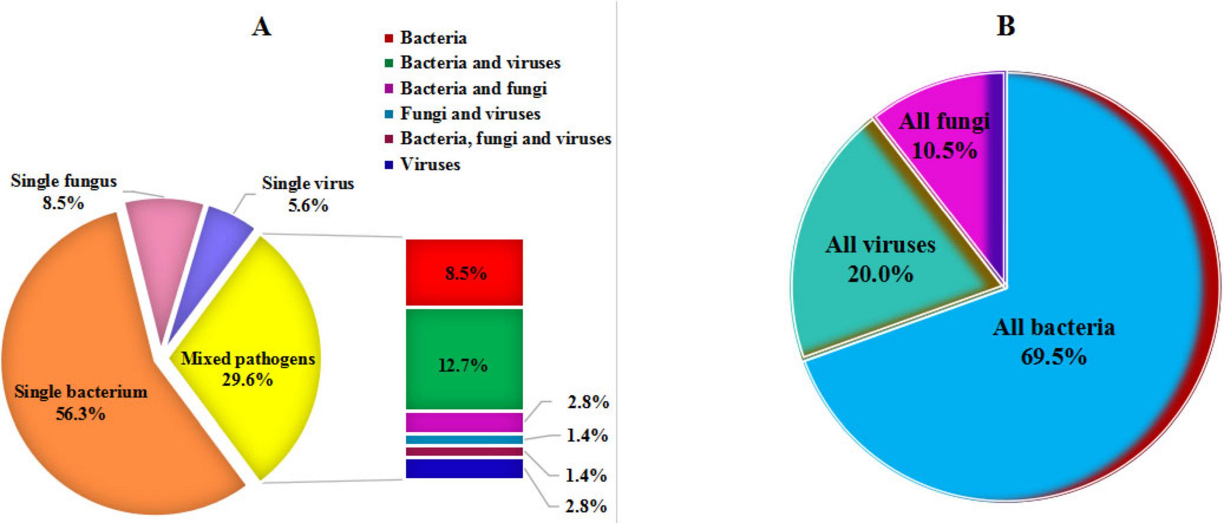 “Two labeled pie charts titled A and B. Chart A depicts the distribution of pathogens: single bacterium at 56.3%,single fungus at 8.5%, single virus at 5.6%, and mixed pathogens at 29.6%. Mixed infections involve various bacterial species, combinations of bacteria and viruses, bacteria and fungi, or polymicrobial associations involving bacteria, fungi, and viruses, as well as coinfections with multiple viral agents. Chart B shows the prevalence of all bacteria at 69.5%, all viruses at 20.0%, and all fungi at 10.5%. Each section is color-coded and labeled.”