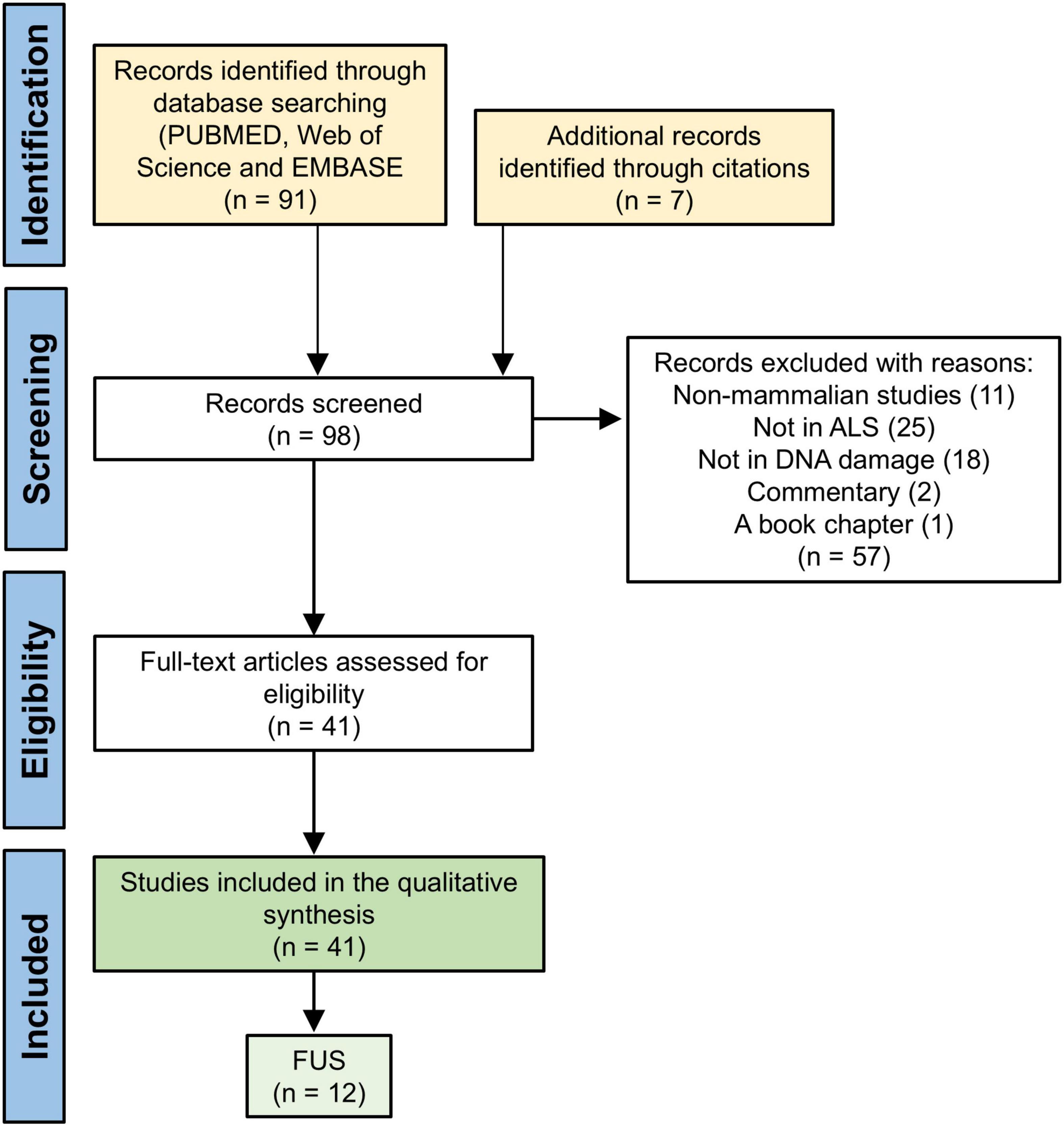 Flowchart illustrating the selection process of studies: 91 records were identified from databases and 7 additional from citations, totaling 98 records screened. Of these, 57 were excluded for reasons like being non-mammalian or irrelevant topics. 41 full-text articles were assessed, all included in qualitative synthesis, with 12 being FUS studies.