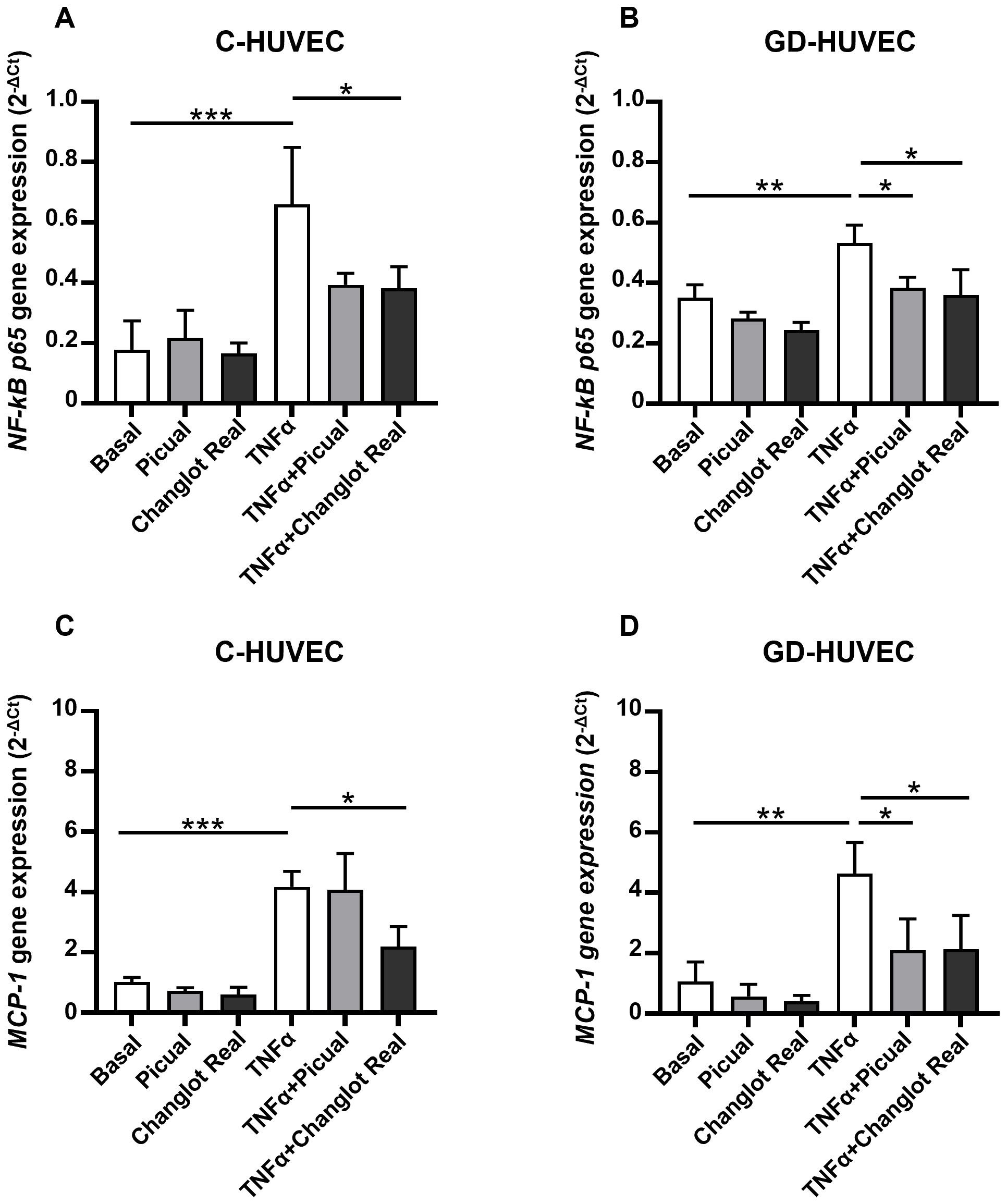 Bar charts showing NF-κB p65 and MCP-1 gene expression in C-HUVEC and GD-HUVEC cells under various conditions. (A) and (B) represent NF-κB p65 expression, while (C) and (D) show MCP-1 expression. Bars indicate different treatments: Basal, Picual, Changlot Real, TNFα, TNFα+Picual, and TNFα+Changlot Real. Statistical significance is marked with asterisks: * for p<0.05, ** for p<0.01, *** for p<0.001. Error bars represent standard deviation.