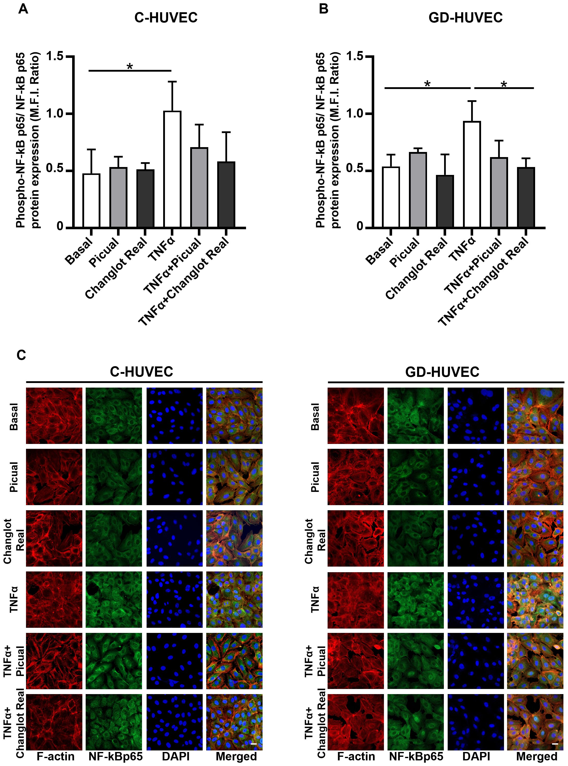Bar graphs and fluorescence microscopy images compare phospho-NF-kB p65 expression in C-HUVEC and GD-HUVEC. Graphs show different conditions (Basal, Picual, Changlot Real, TNFα, TNFα+Picual, TNFα+Changlot Real). Immunofluorescence panels display F-actin, NF-kBp65, DAPI staining, and merged images for each condition, highlighting cellular localization and expression differences.
