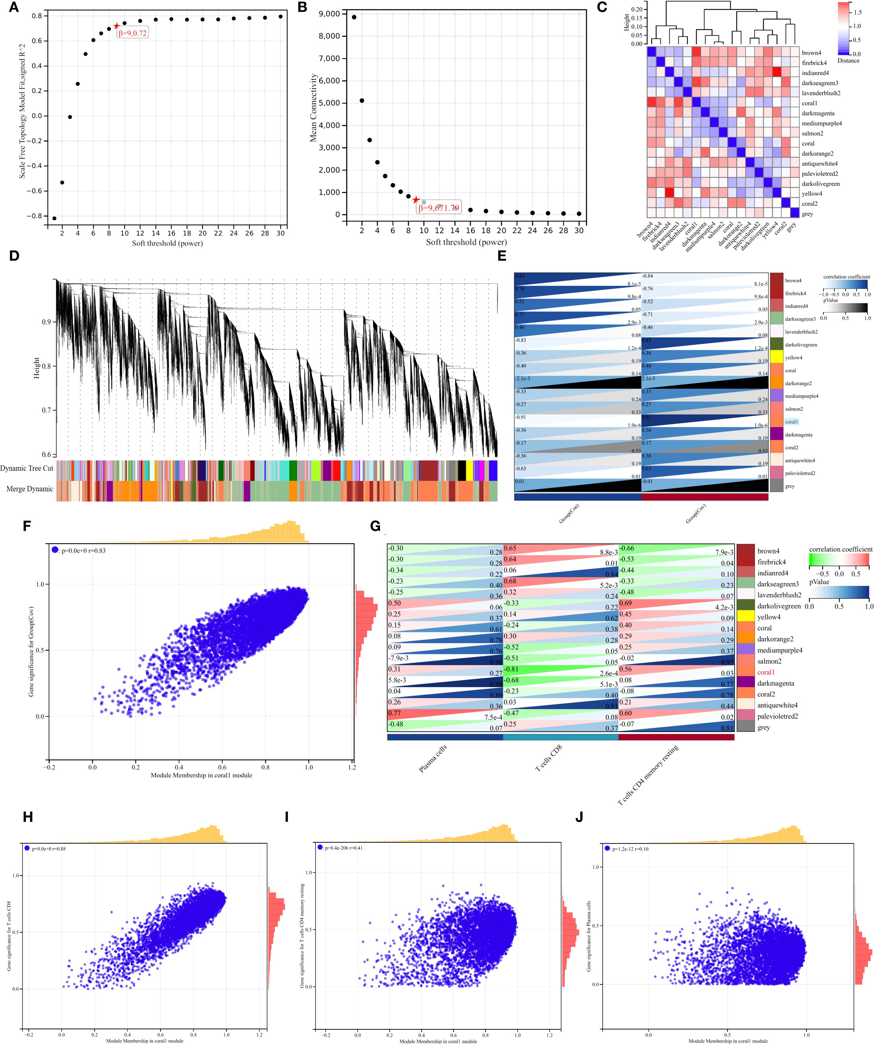 The image consists of multiple panels depicting various data visualizations related to bioinformatics analysis:  A. A line plot showing scale-free topology model fit versus soft threshold power, with an optimum threshold marked.  B. A line plot of mean connectivity versus soft threshold power, highlighting an optimal point.  C. A heatmap of variable clustering displaying correlation coefficients, with blue indicating higher and red lower correlations.  D. A hierarchical clustering dendrogram with dynamic tree cuts and module colors.  E. A heatmap of module-trait relationships, showing correlation coefficients.  F-J. Scatter plots show module membership versus gene significance for different modules, with associated correlation and p-values, accompanied by marginal histograms.  Each panel provides insights into module analysis and network connectivity.