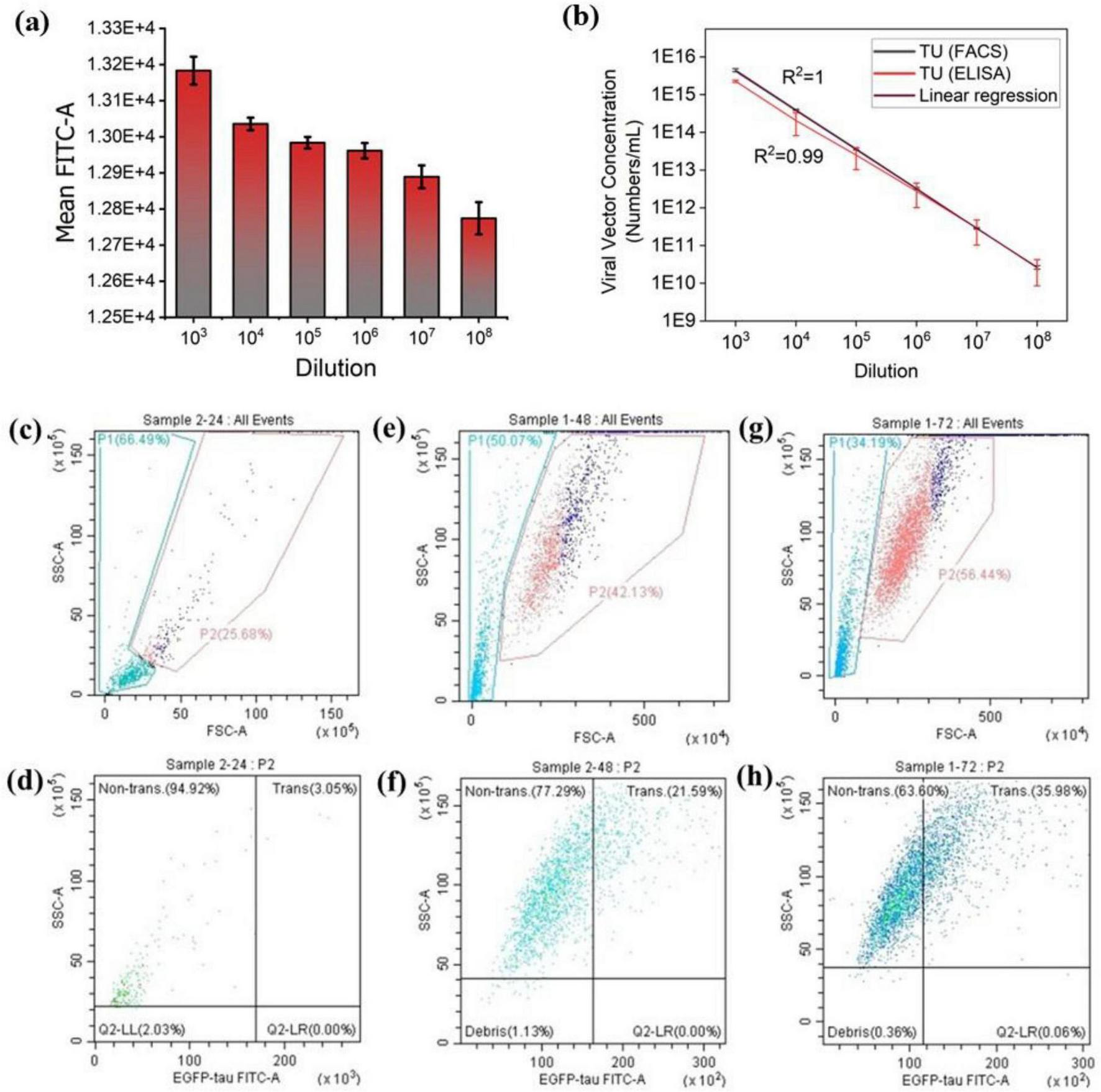 Graphical data comparing viral vector concentrations and flow cytometry measurements across different dilutions. Panel (a) shows a bar chart with mean FITC-A values decreasing with higher dilutions. Panel (b) presents a linear regression analysis of viral vector concentration, with R² values close to one, for TU measured by FACS and ELISA. Panels (c), (e), and (g) display scatter plots of different samples with events distinguished into P1 and P2 populations. Panels (d), (f), and (h) provide detailed scatter plots for transfection efficiency, showing non-transformed and transformed cell percentages.