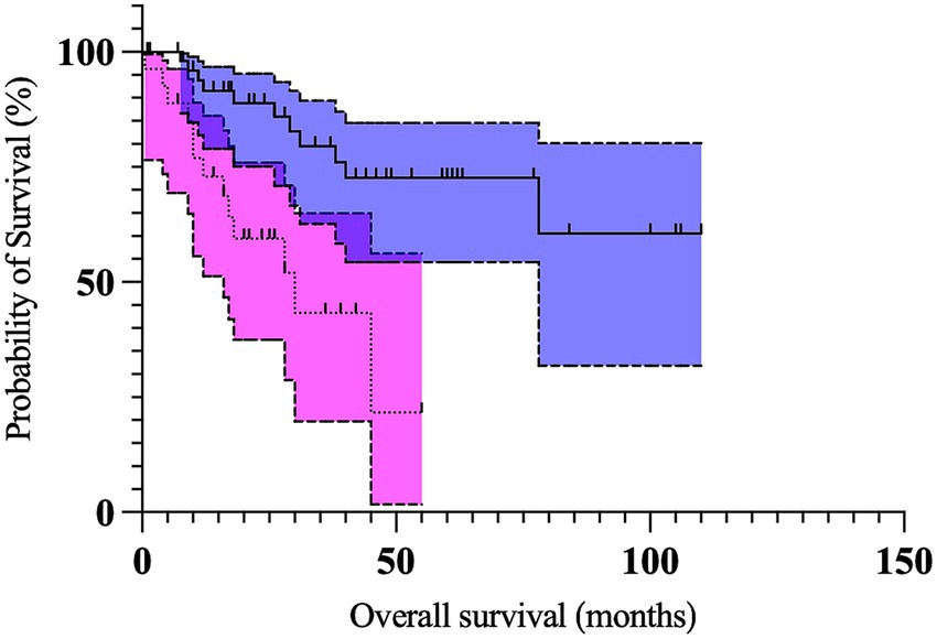 Kaplan-Meier survival curve displaying the probability of survival over time in months. The blue shaded area indicates higher survival probability compared to the pink area, which drops more steeply, suggesting differing survival rates between two groups.