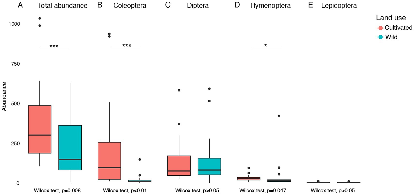 Box plot comparing insect abundance across five categories: Total abundance, Coleoptera, Diptera, Hymenoptera, and Lepidoptera. The plot differentiates between cultivated (red) and wild (blue) land uses. Significant differences are indicated by asterisks, with p-values provided from Wilcox tests.