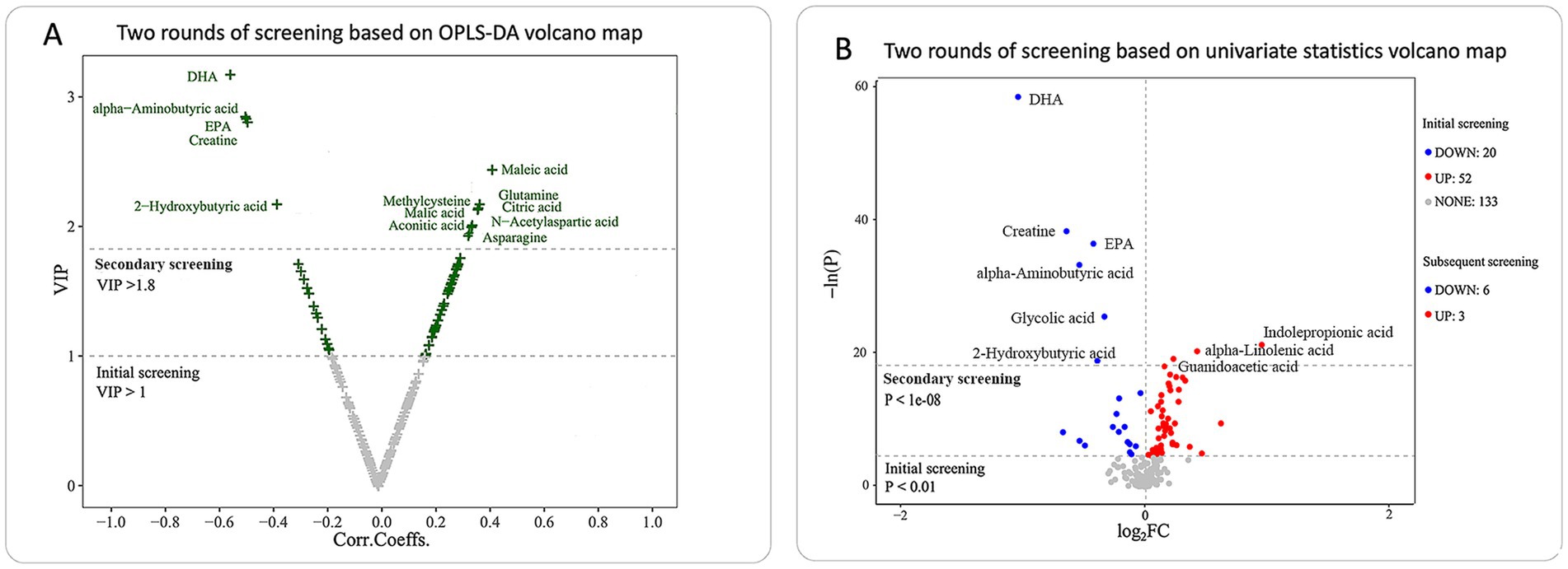 Panel A shows an OPLS-DA volcano map with VIP values, differentiating compounds like DHA, EPA, and citric acid based on VIP scores for screening rounds. Panel B displays a univariate statistics volcano map with -ln(P) values, highlighting compounds from screening phases in red, blue, and grey, with labels such as DHA and creatine. Each panel indicates the thresholds and results of initial and subsequent screenings.