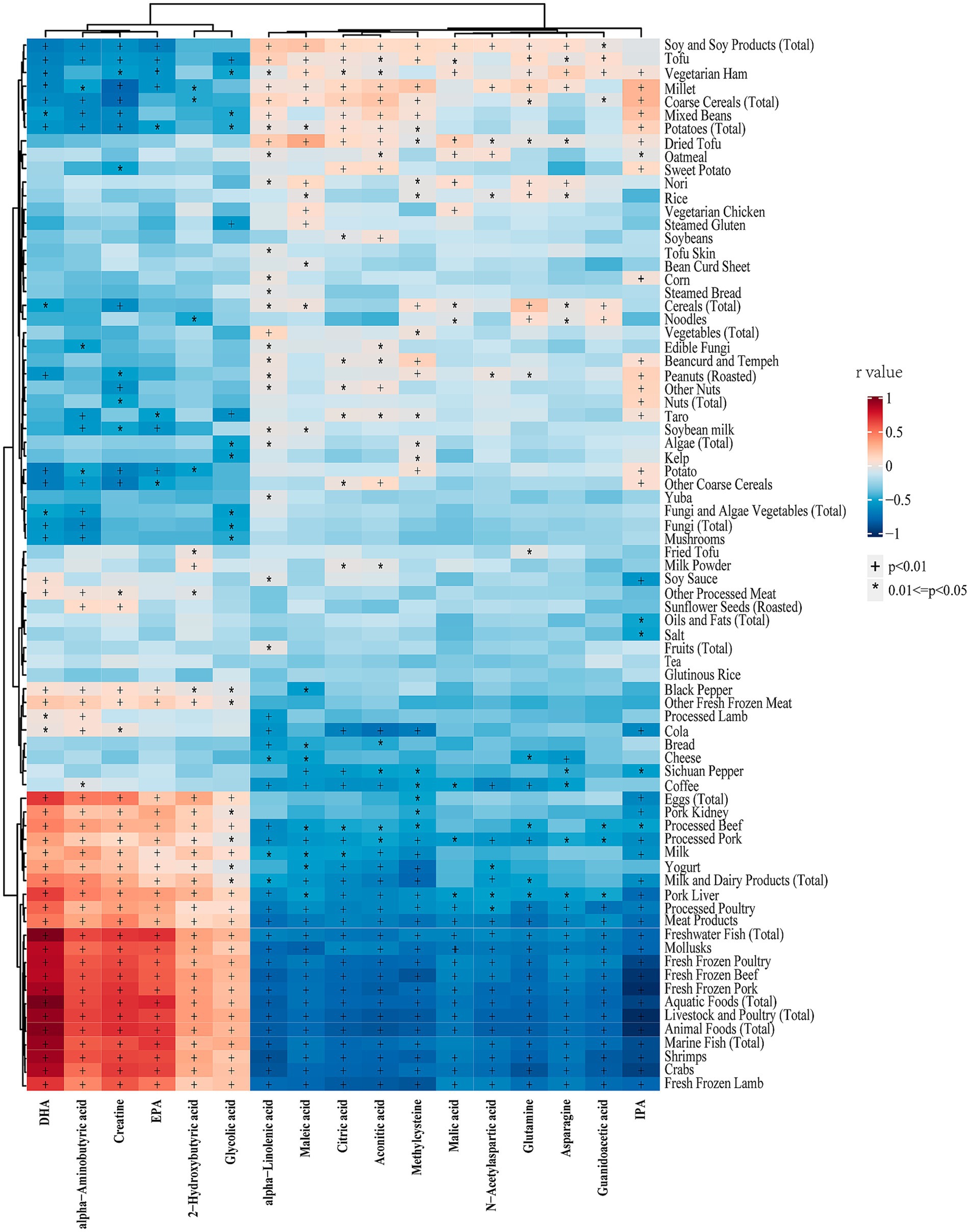 Heatmap showing correlation values between different food items and various acids or compounds. The scale ranges from -1 (blue) to 1 (red), with many correlations near zero (light colors). Markers indicate significance: plus for p<0.01 and asterisk for 0.01<p<0.05. The largest correlations appear in the bottom-left and top-right regions, with strong red shading for foods like DHA and several acids.
