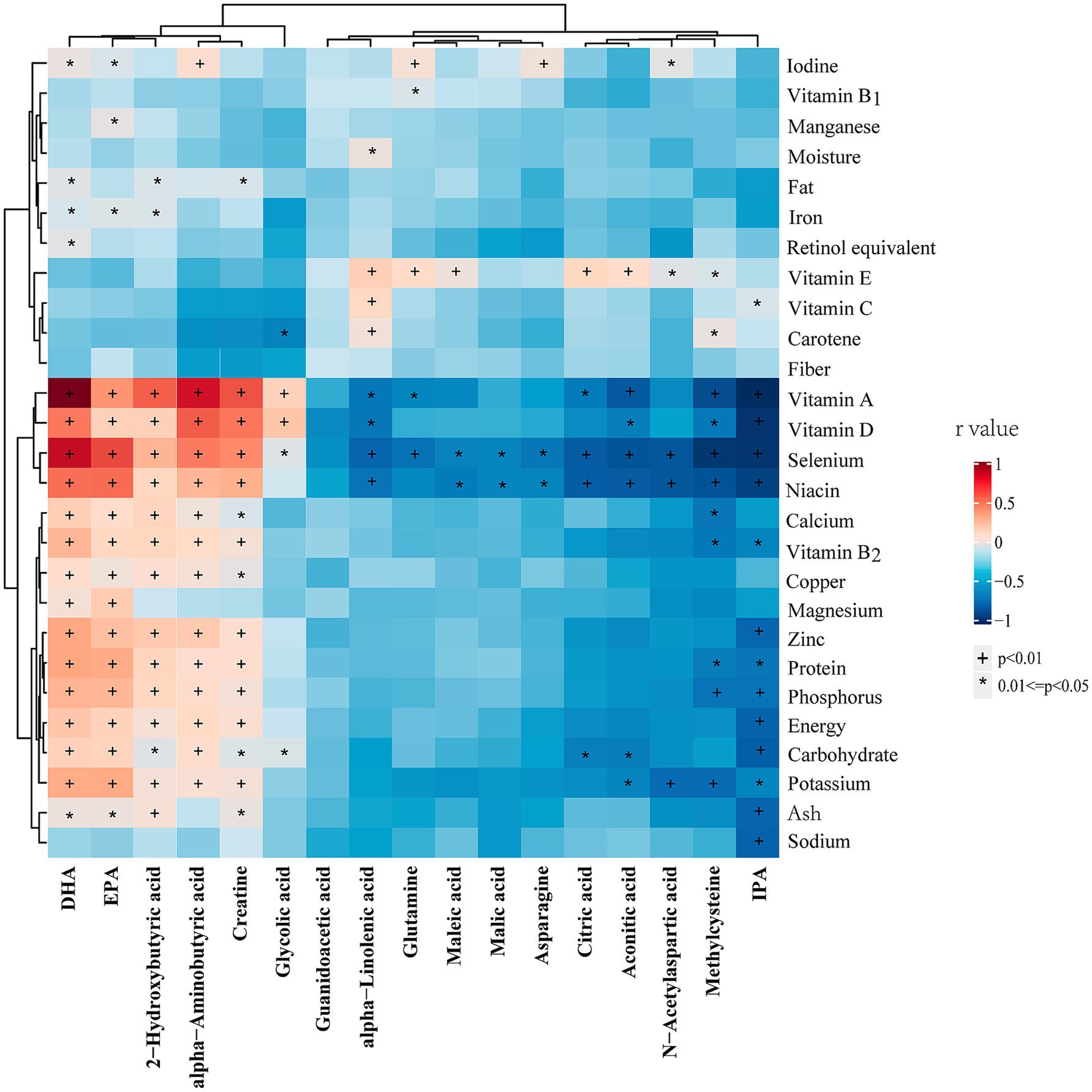 Heatmap showing correlation between fatty acids, amino acids, and various nutrients. Color gradient from blue to red indicates negative to positive correlations, respectively. Significance is marked by plus and asterisk symbols. Nutrients listed include iodine, vitamins, minerals, and macronutrients.