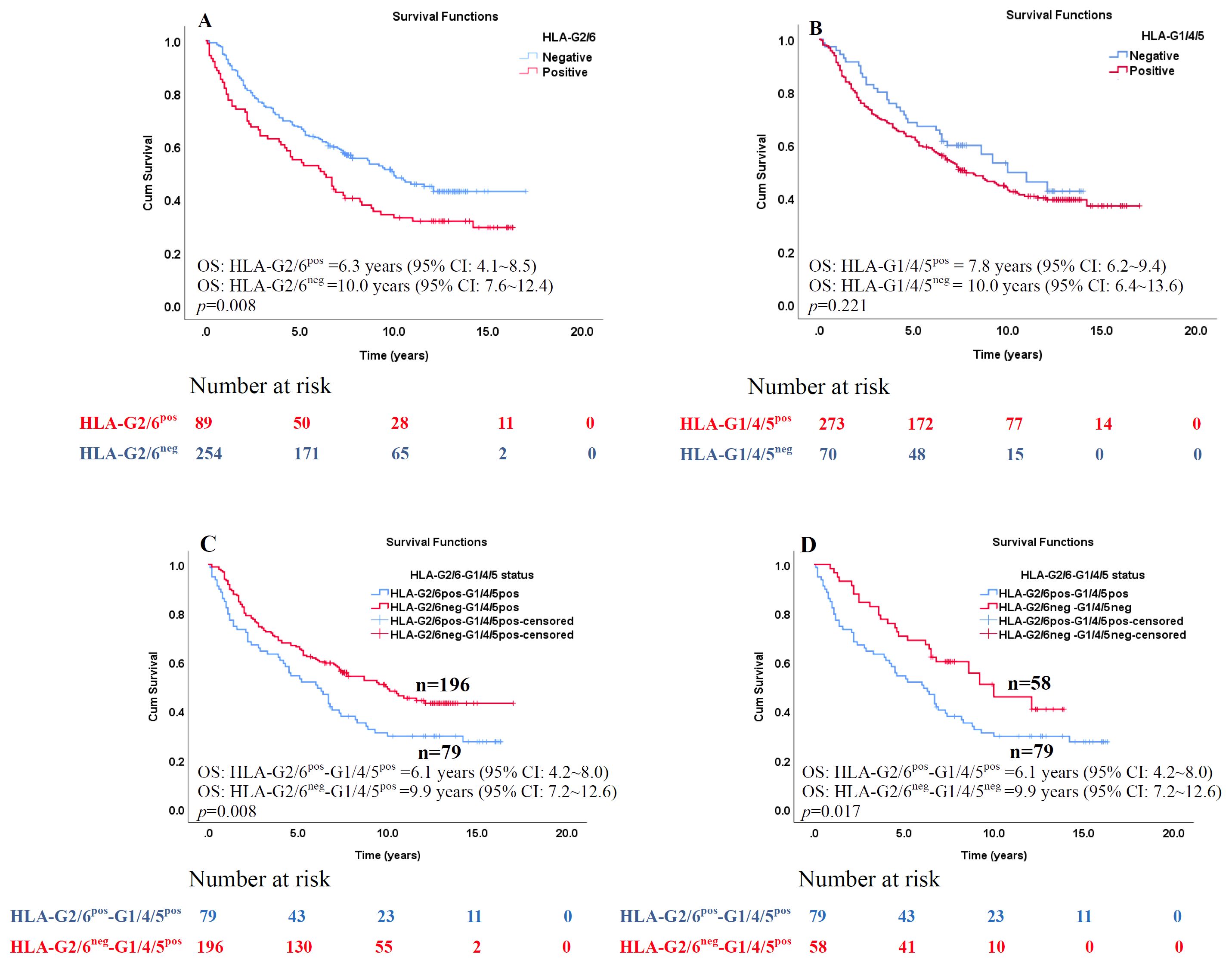 Survival function graphs depicting cumulative survival over time for different HLA genotypes. Graph A shows HLA-G2/6 with negative (blue) and positive (red) status impacting survival over 20 years. Median survival for positive is 6.3 years,negative is 10.0 years. Graph B illustrates HLA-G1/4/5, with a similar color scheme. Positive median survival is 7.8 years; negative is 10.0 years. Graph C combines HLA-G2/6 positive with HLA-G1/4/5 status. Positive/positive median survival is 6.1 years; negative/positive is 9.9 years. Graph D shows positive/positive vs negative/positive with similar survival medians. Each graph includes risk numbers and p-values indicating statistical significance.