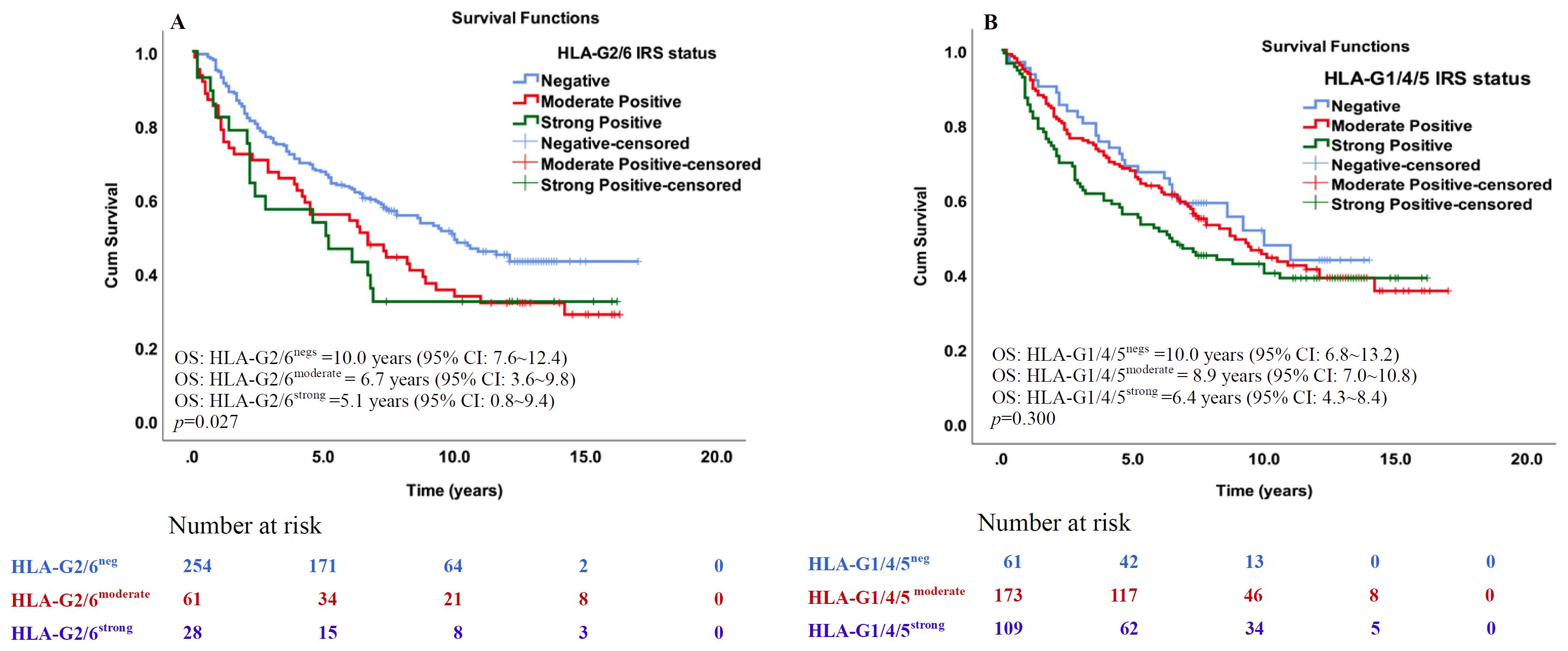Kaplan-Meier survival curves showing cumulative survival over time. Graph A examines HLA-G2/6 IRS status with curves for negative, moderate, and strong positive groups. Notable outcomes are OS for negative at 10 years, moderate at 6.7 years, and strong at 5.1 years; p = 0.027. Graph B examines HLA-G1/4/5 IRS status, showing OS for negative at 10 years, moderate at 8.9 years, and strong at 6.4 years; p = 0.300. Both graphs include the number at risk data below the curves.