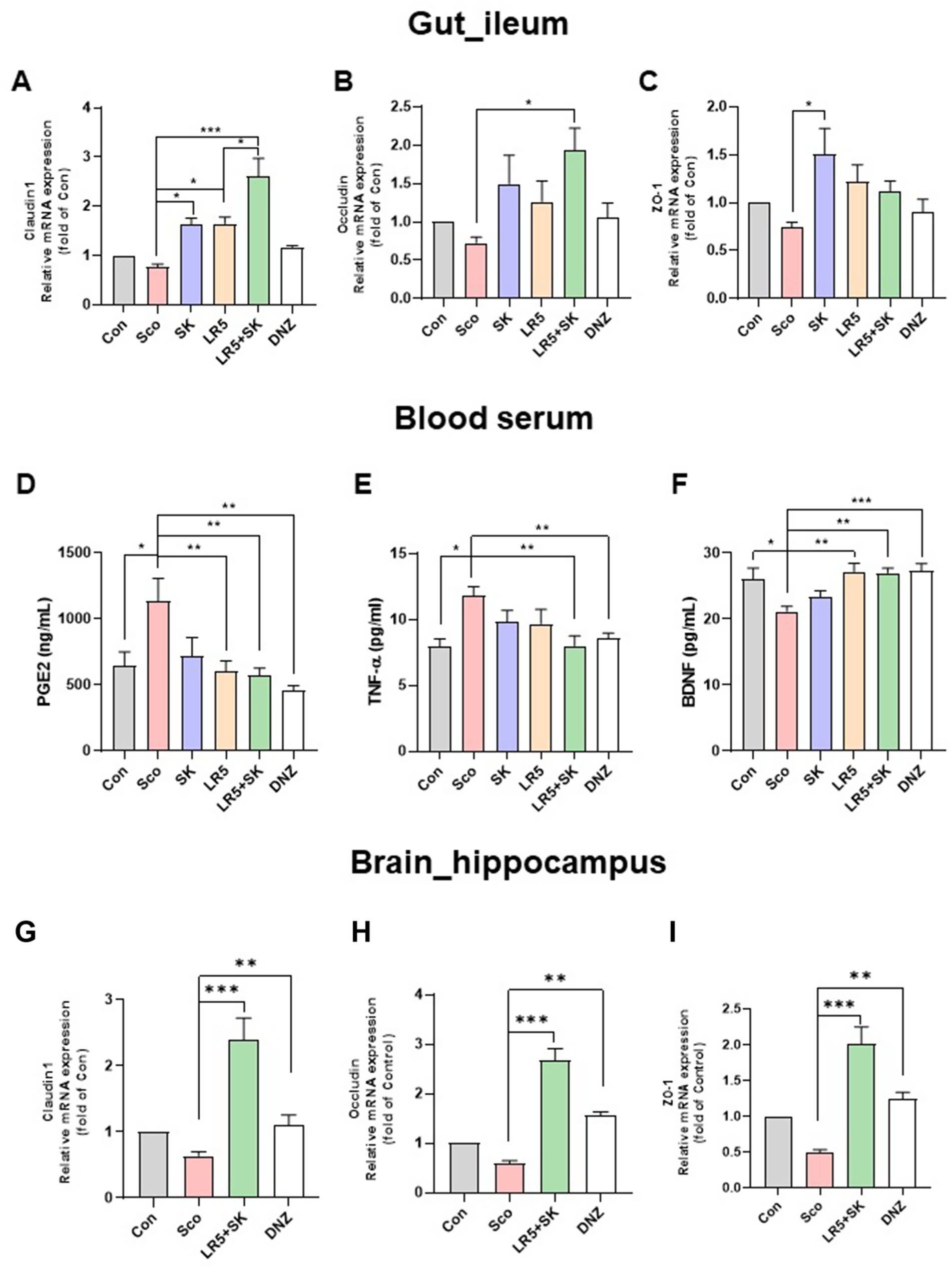 A three-part image: (A) Box plots displaying alpha diversity indices at different time points across various groups. (B) Stacked bar charts illustrating relative abundance of microbial taxa over time for each group. (C) Heatmap showing microbial taxonomic composition differences across groups, with a color gradient indicating relative abundance.