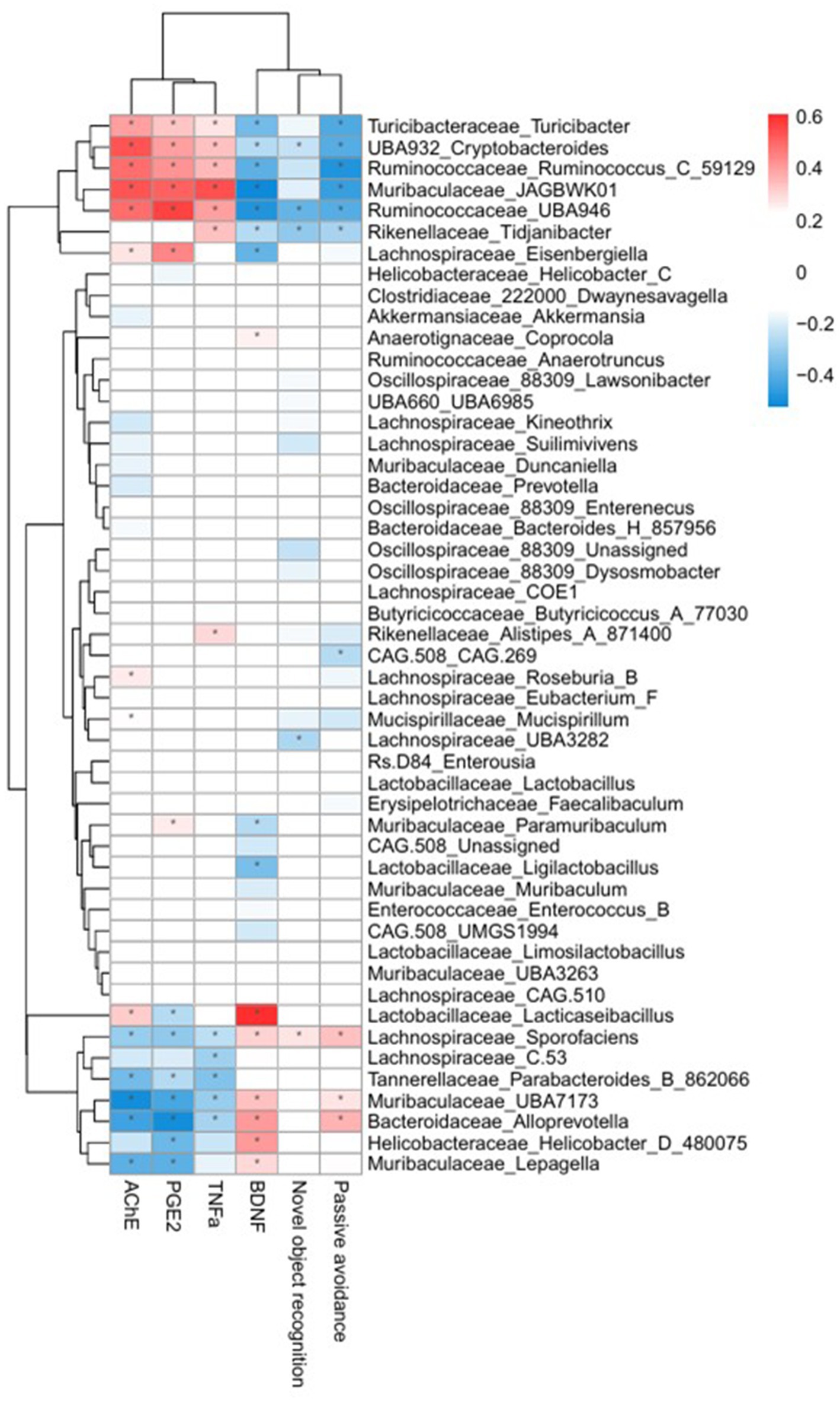 Heatmap displaying various bacterial taxa on the y-axis and several factors on the x-axis, including AChE, PGE2, TNFα, BDNF, and cognitive tasks. Colors range from red to blue, indicating positive and negative correlations, respectively. Dendrograms show hierarchical clustering of taxa and factors.