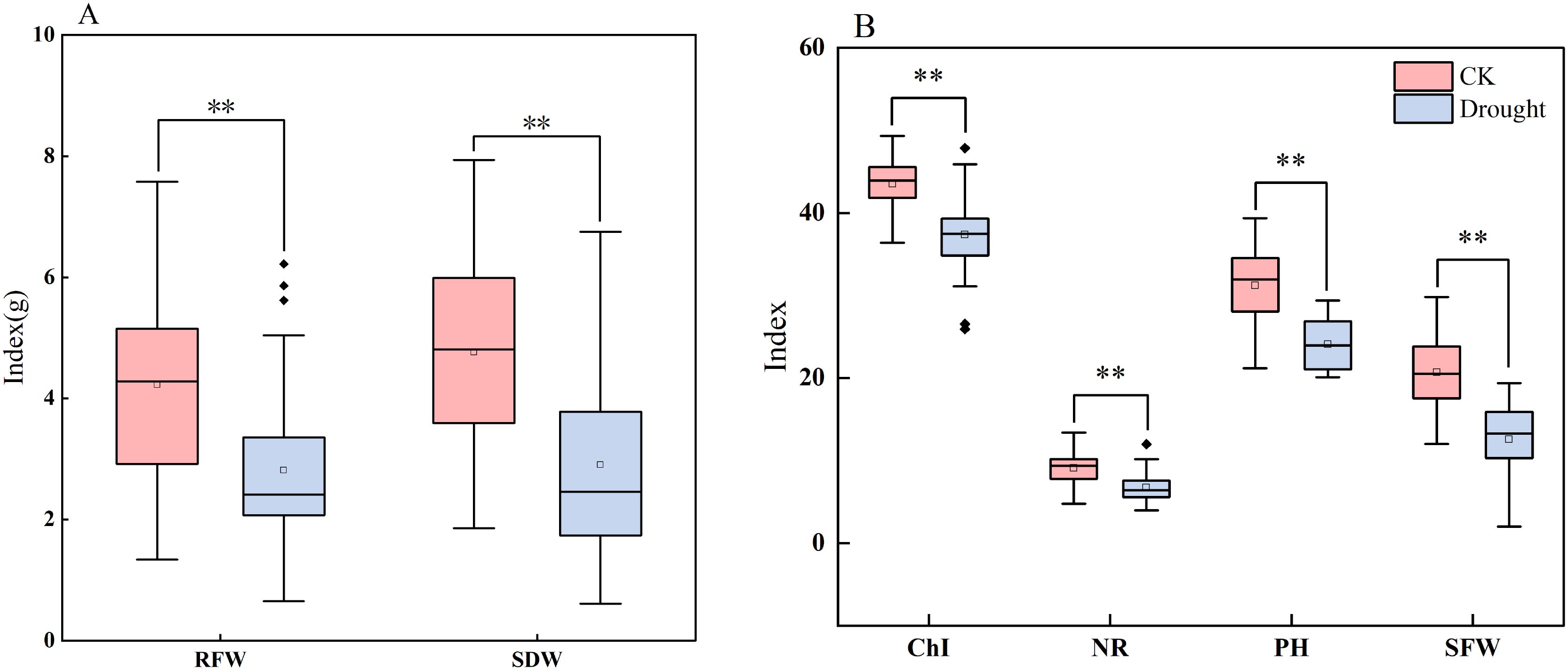 Box plots comparing different indices between control (CK) and drought conditions. Panel A shows RFW and SDW with significant differences, marked by “**”. Panel B shows Chl, NR, PH, and SFW, also with significant differences. CK is indicated in pink and drought in blue, with outliers marked by diamonds.