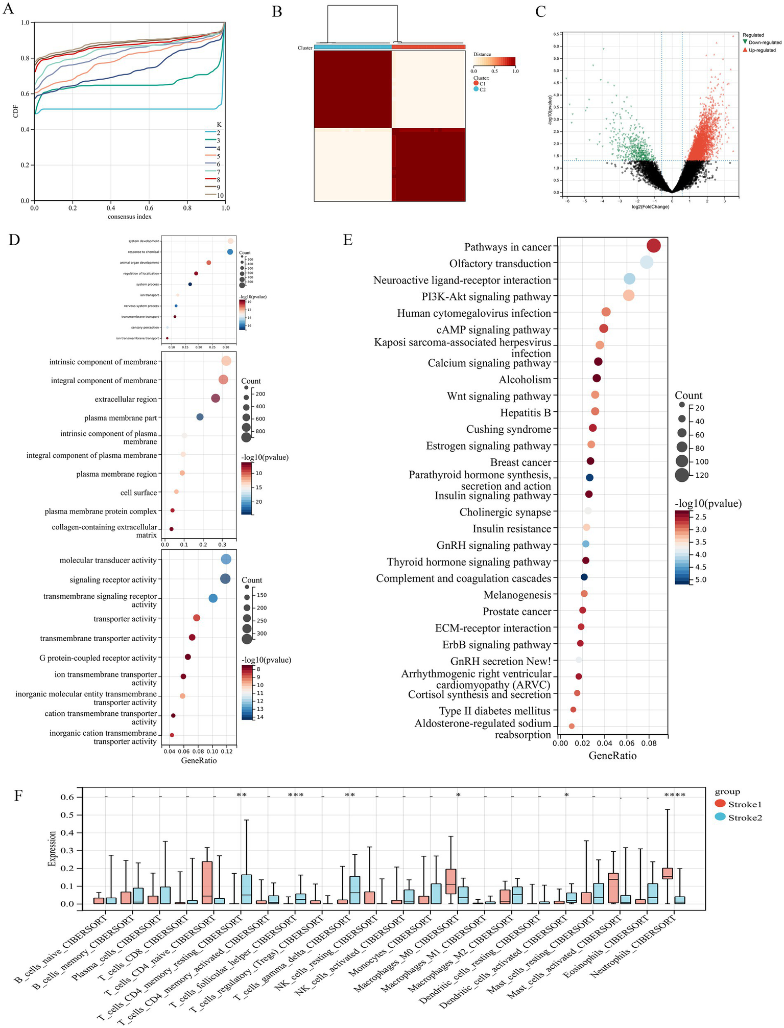 Panel A shows a cumulative distribution function plot with different lines for varying K-values. Panel B presents a heatmap of hierarchical clustering with distinct clusters. Panel C features a volcano plot displaying differentially expressed genes. Panel D includes bubble plots for gene ontology terms, indicating significance and gene ratio. Panel E displays a dot plot of KEGG pathways, illustrating the significance and gene ratio. Panel F is a bar chart comparing the expression levels of different cell types between two stroke groups, with statistical significance indicated by asterisks.