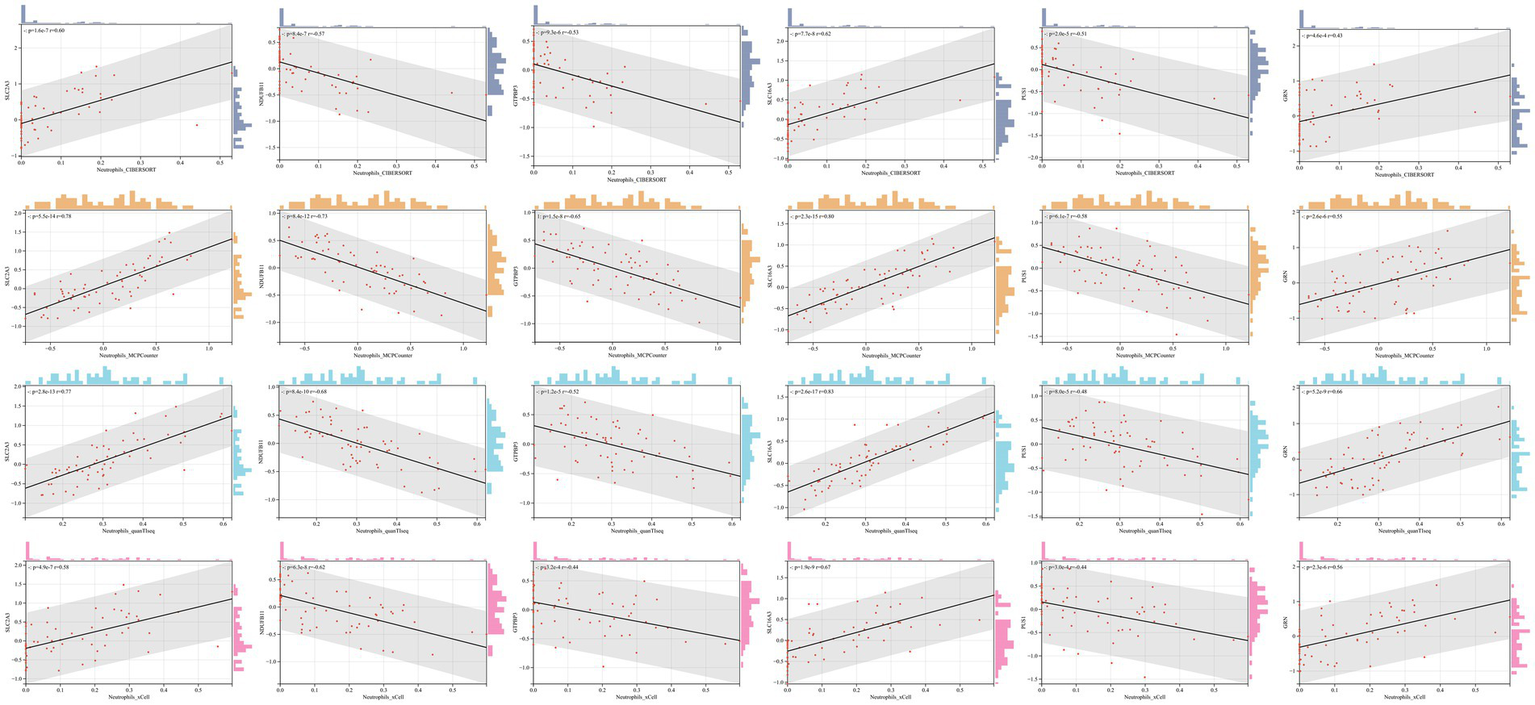 Scatter plots in a grid layout, displaying relationships between neutrophils measured by different methods and various genes. Each plot includes a regression line, p-value, and correlation coefficient. Histograms show data distribution along the axes.