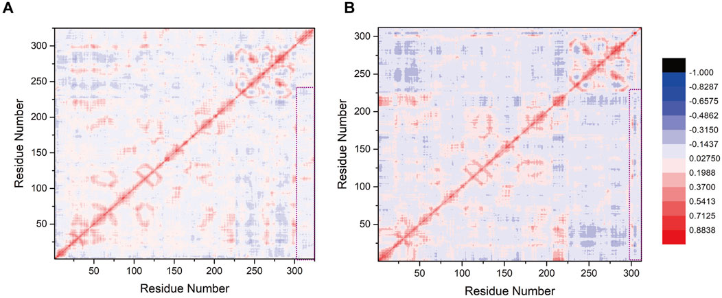 Two correlation matrices labeled A and B compare residue number interactions, with values ranging from -1 in blue to 0.8838 in red. Both matrices display diagonal red bands indicating strong positive interactions, with scattered blue and red elements suggesting varied correlations.