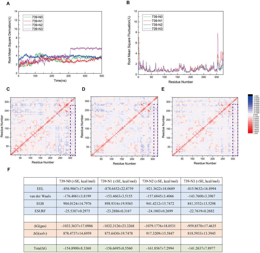Chart A shows the root mean square deviation over 500 nanoseconds for four samples. Chart B depicts the root mean square fluctuation across residue numbers for the same samples. Heatmaps C, D, and E illustrate interactions between residues, with varying degrees of correlation indicated by color intensity. Table F summarizes energy calculations including EEL, van der Waals, EGB, ESURF, and total free energy for each sample, with standard errors noted.