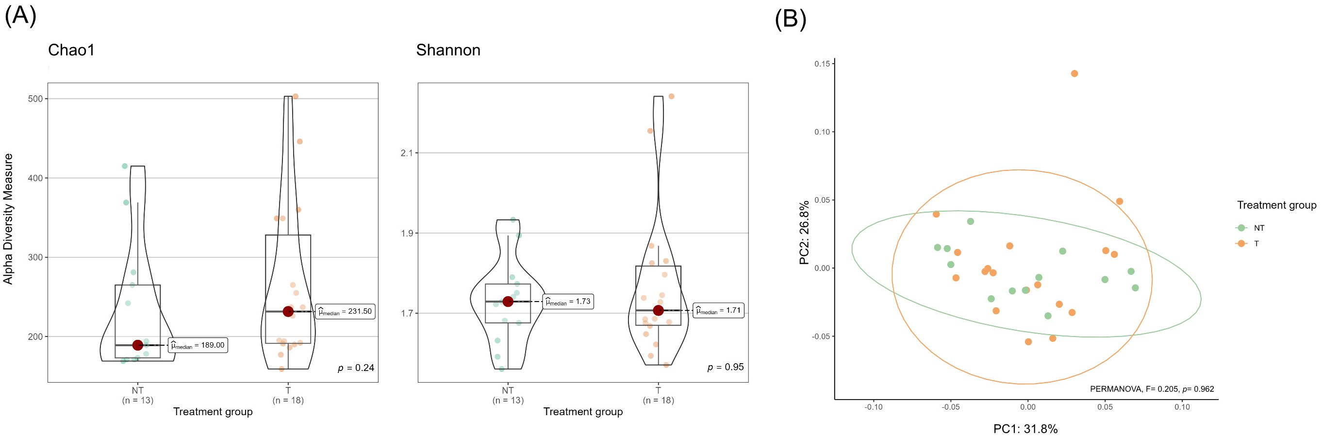 Graphs depicting microbial diversity and composition.Panel A shows violin plots comparing alpha diversity metrics (Chao1 and Shannon index) between untreated with antimicrobials (NT) and treated (T) cow groups. Median values are displayed, with no significant differences observed. Panel B displays a PCoA plot based on Bray–Curtis dissimilarity, with axes PC1 and PC2. Points represent individual samples, and ellipses indicate group clustering for NT and T. No distinct separation between treatment groups is observed.