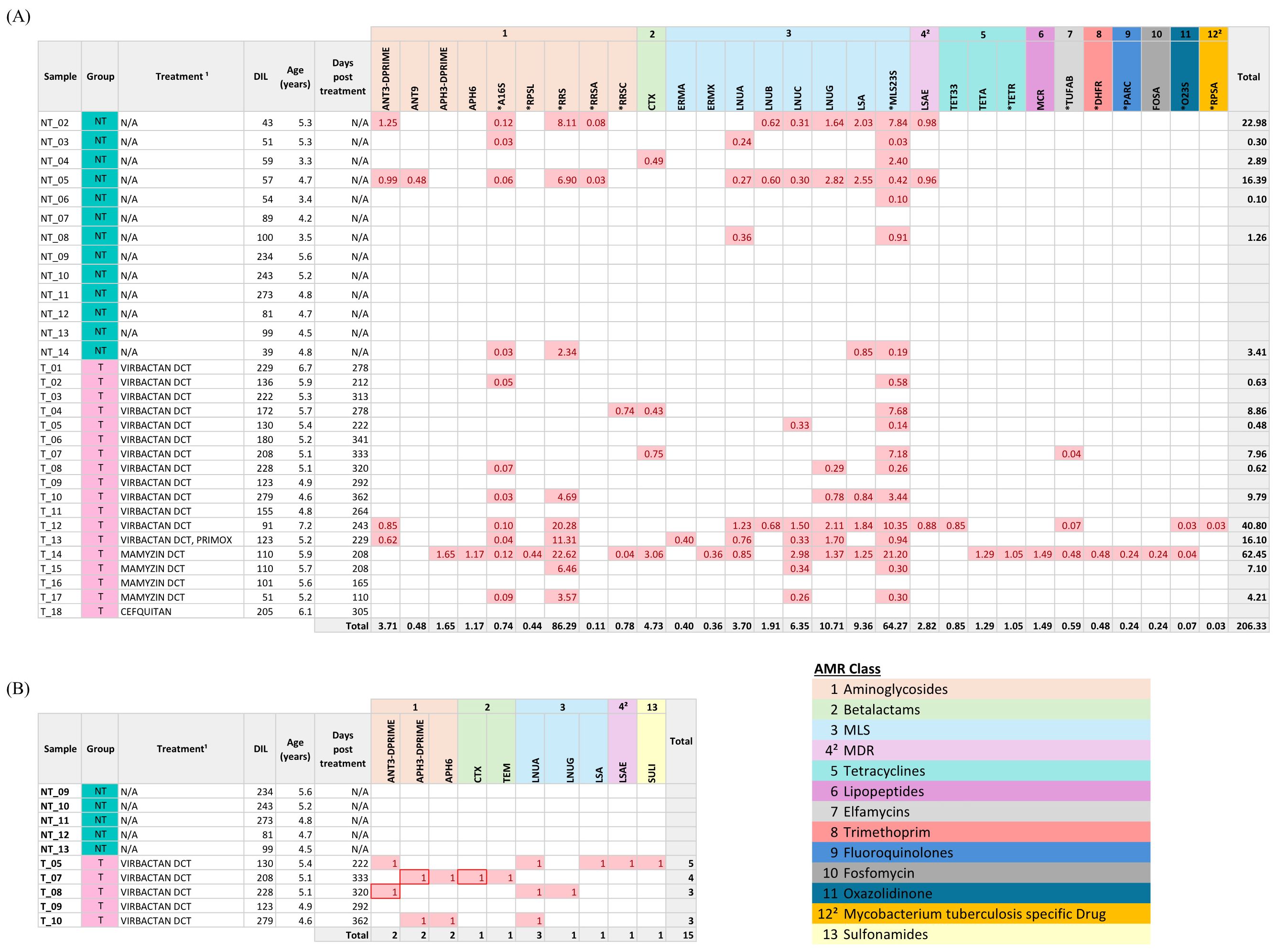 Two heatmaps showing the presence and relative abundance of antimicrobial resistance genes (ARGs) across milk samples from treated with antimicrobials (T) and untreated (NT) cows. Panel A shows normalized ARG abundance (CPM) from Illumina data analyzed with AMR++ pipeline in 31 samples. Panel B shows binary detection (presence/absence) of ARGs using ABRicate applied to ONT and Illumina in 10 samples. Genes are organized by resistance mechanism (e.g., aminoglycosides, macrolide–lincosamide–streptogramin), and sample names appear in rows. Cell colour and values highlight differences in detection between sequencing platforms and pipelines.