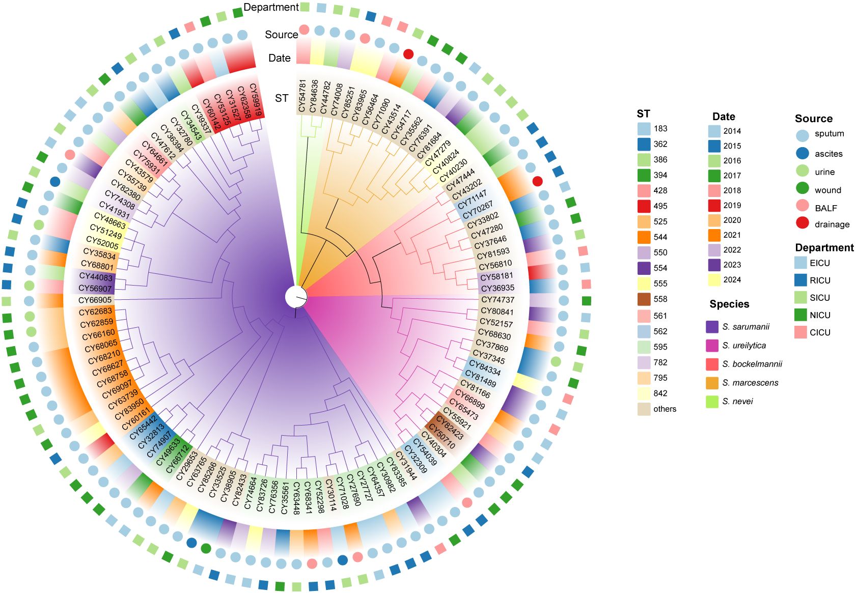 Circular phylogenetic tree diagram representing bacterial species distribution. Outer rings indicate departments, sources, and dates with corresponding color keys. Inner labels show different bacterial strains, while sectors are colored by species type.