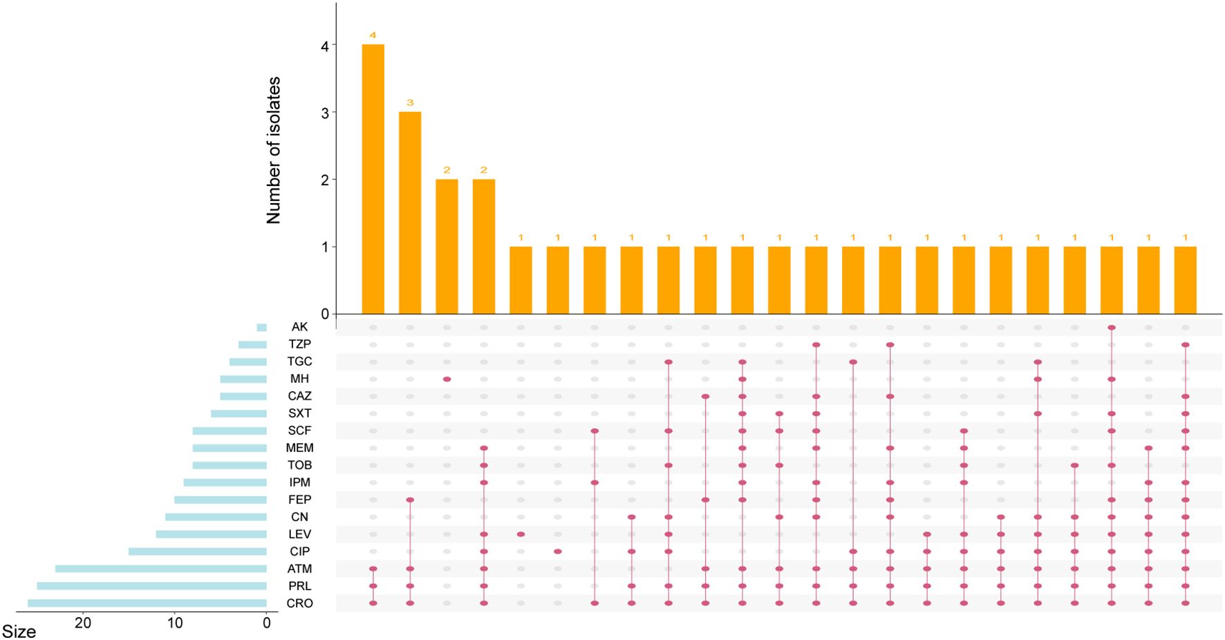 Bar graph displaying the number of isolates, ranging from one to four, represented by orange bars. Beneath, a matrix chart with pink dots connects data points across various antibiotics like AK, TZP, and others, highlighting data sizes on a light blue horizontal bar chart.