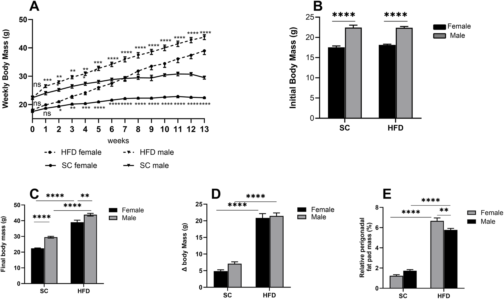 Obesity Model: parameters measured in male and female C57Bl/6 mice fed a SC or HFD diet for 13 weeks. Weekly body mass (A), initial body mass at week 0 (B), final mass at week 13 (C), body mass at week 13 minus mass at week 0 (Δ body mass) (D) and relative perigonadal fat pad mass (%) (E). The values presented are expressed as Mean ± SEM for 12 animals in the SC group and 16 animals in the HFD group. By the data distribution, tests for outlier exclusion were performed using the ROUT test with a Q-value of 1%. Subsequently, a two-way ANOVA followed by Tukey’s post-hoc test. The differences are visually represented as follows: *p < 0.05; **p < 0.01; ***p < 0.001; ****p < 0.0001.